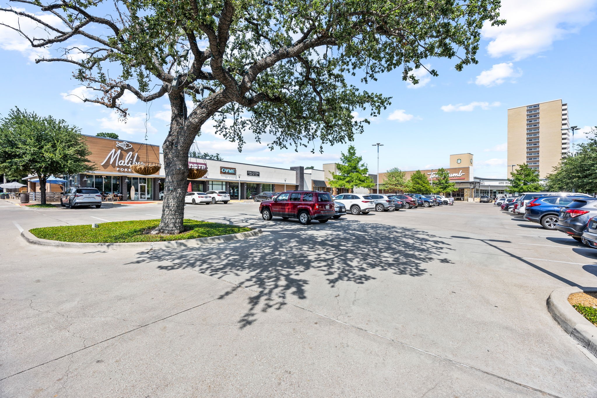 3883 Turtle Creek Boulevard 317