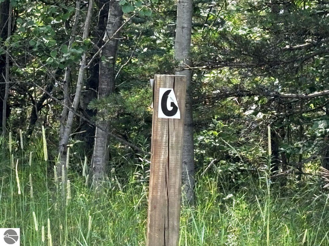 G Bailey Road