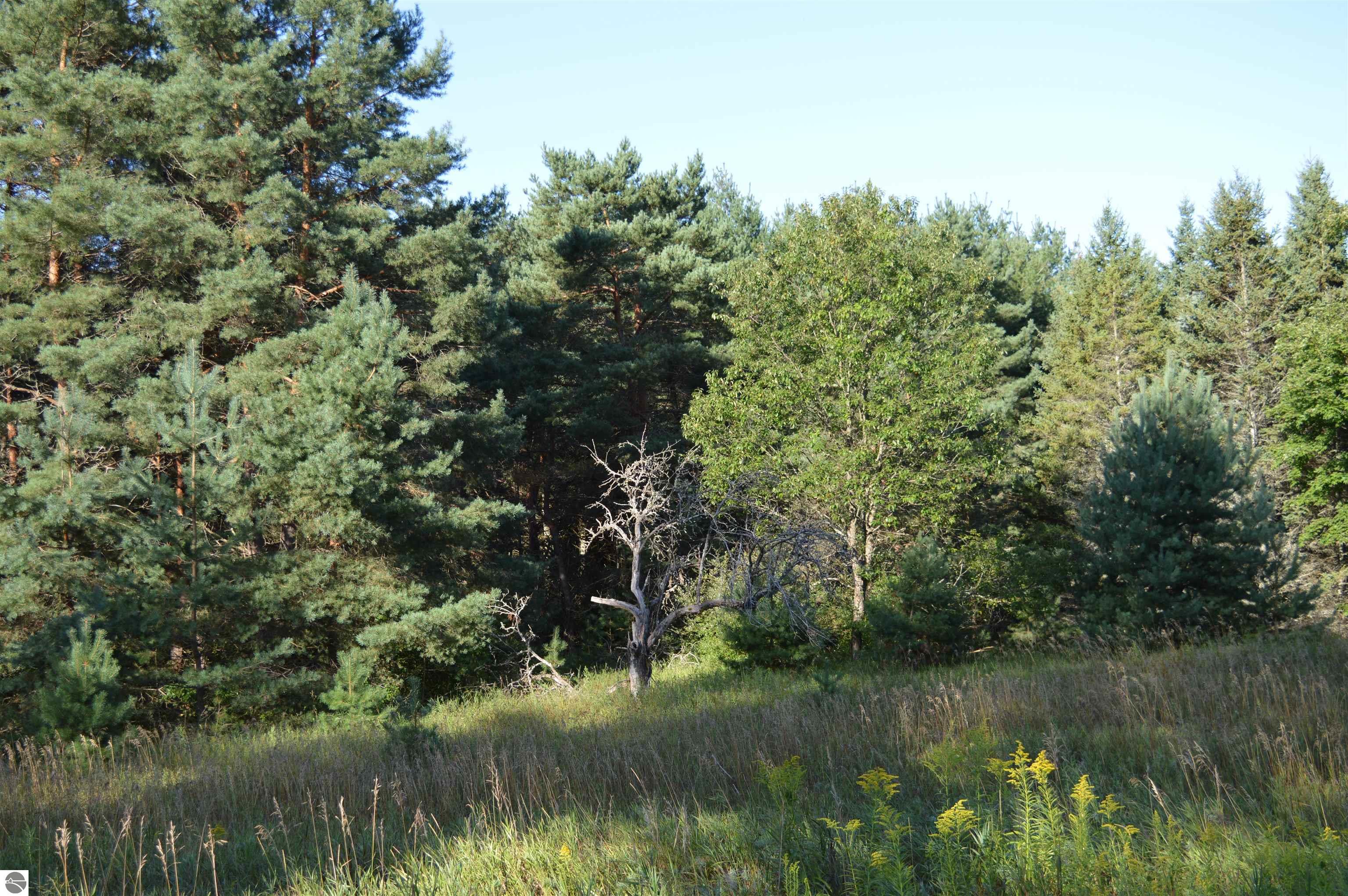 Gildas Road