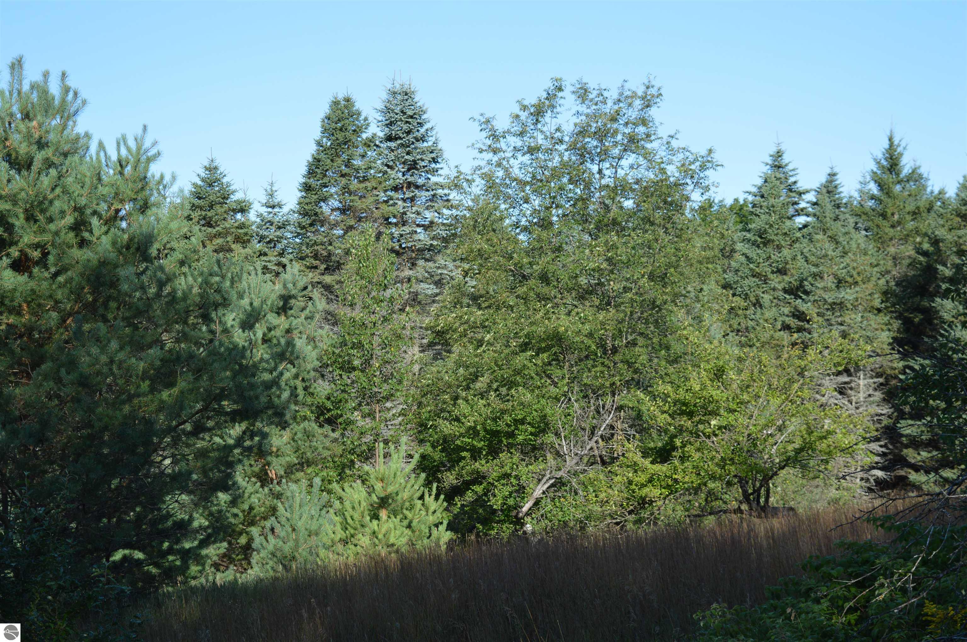 Gildas Road