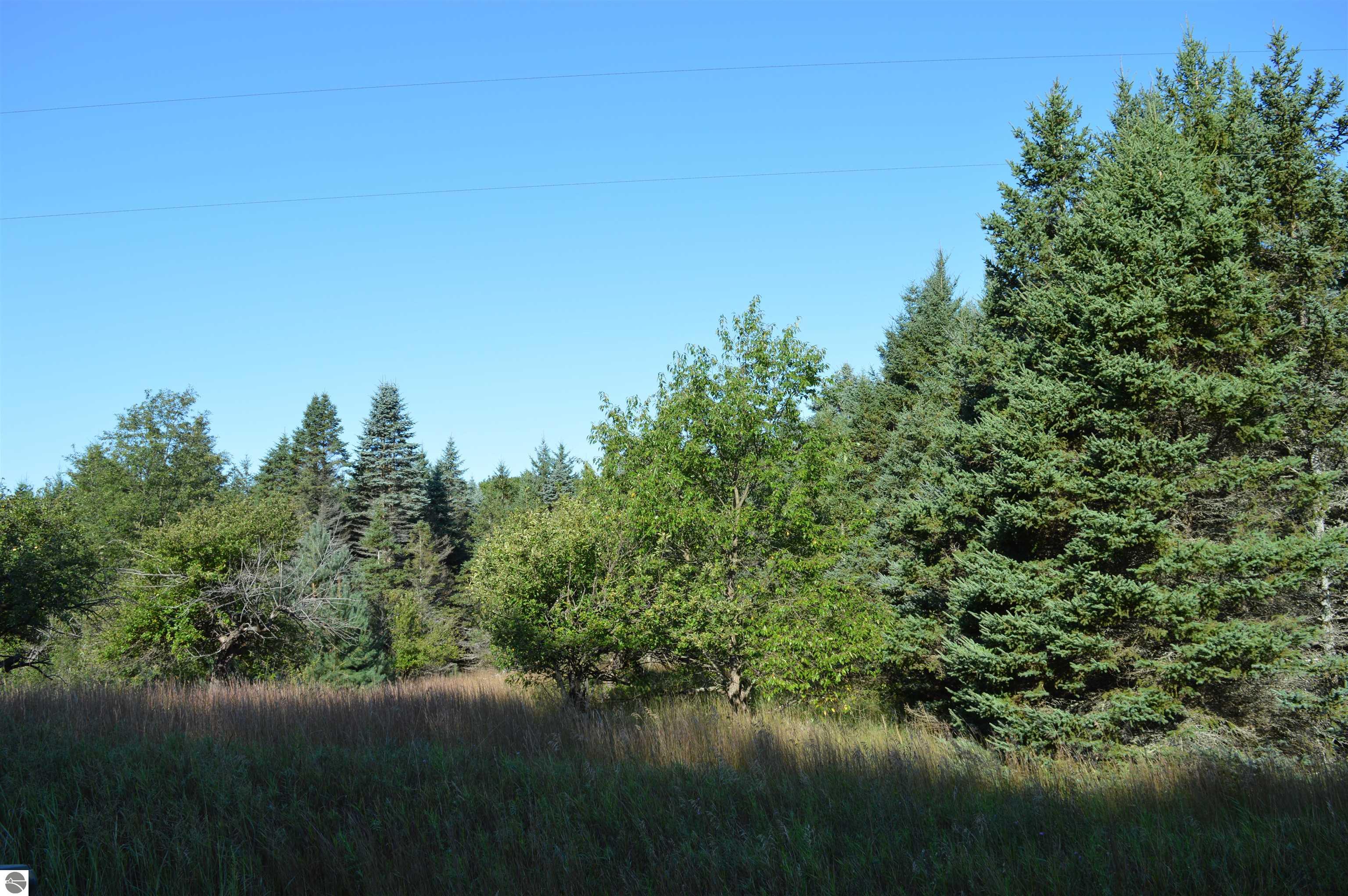 Gildas Road