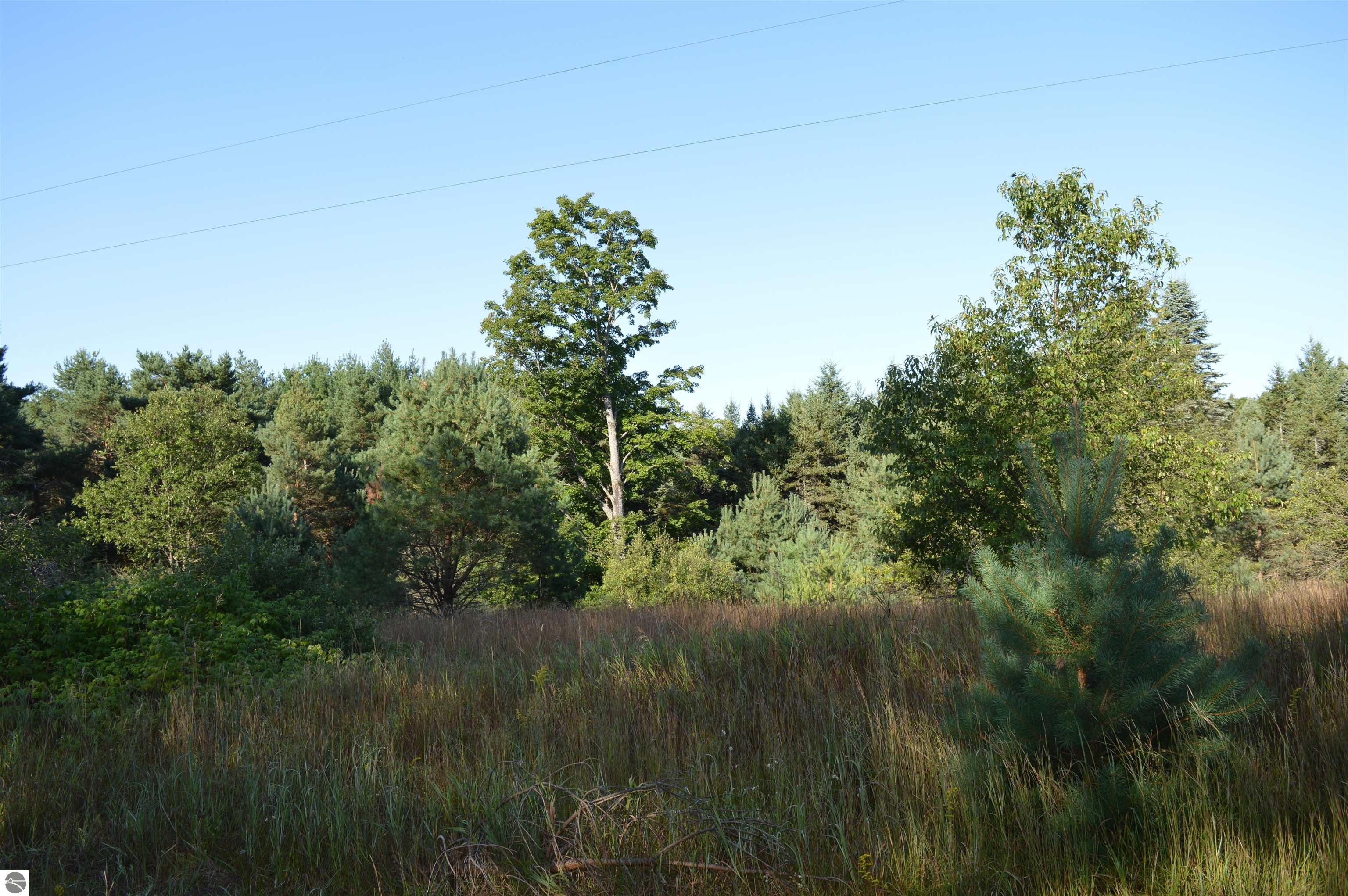 Gildas Road