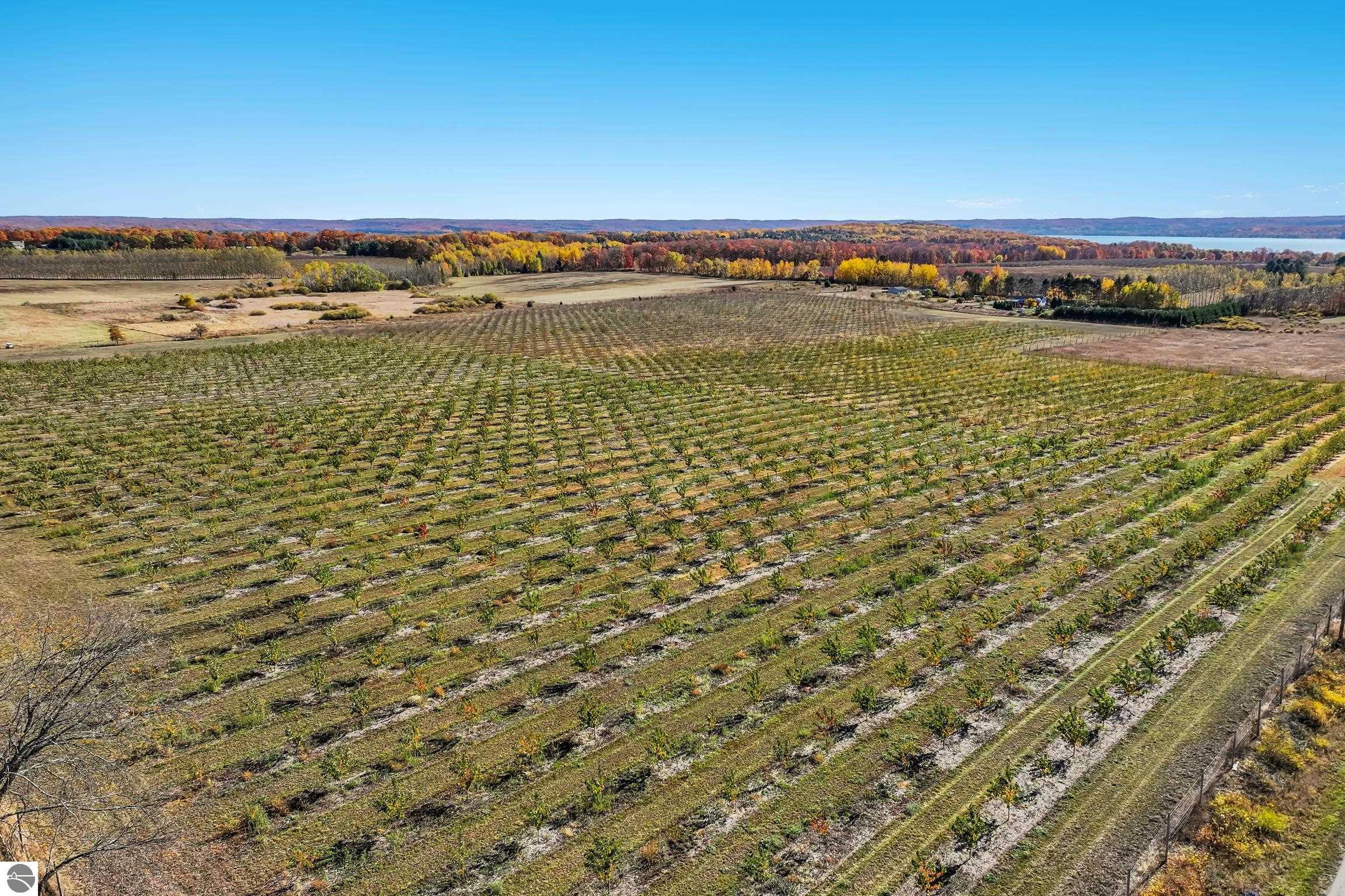 Lot 4 Chippewa Trail