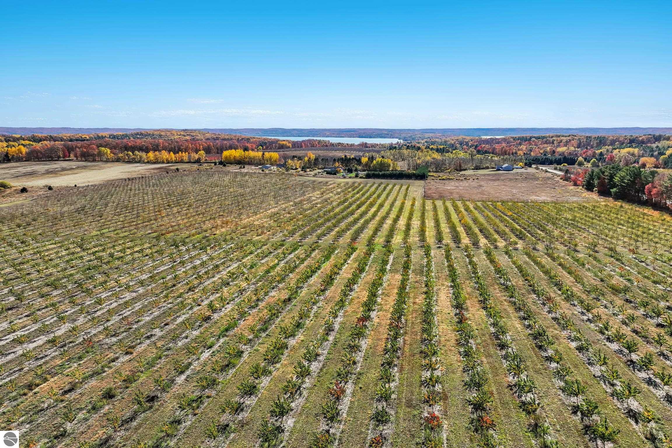 Lot 4 Chippewa Trail