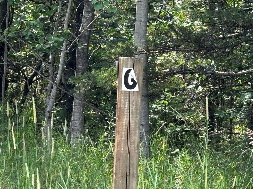 G Bailey Road
