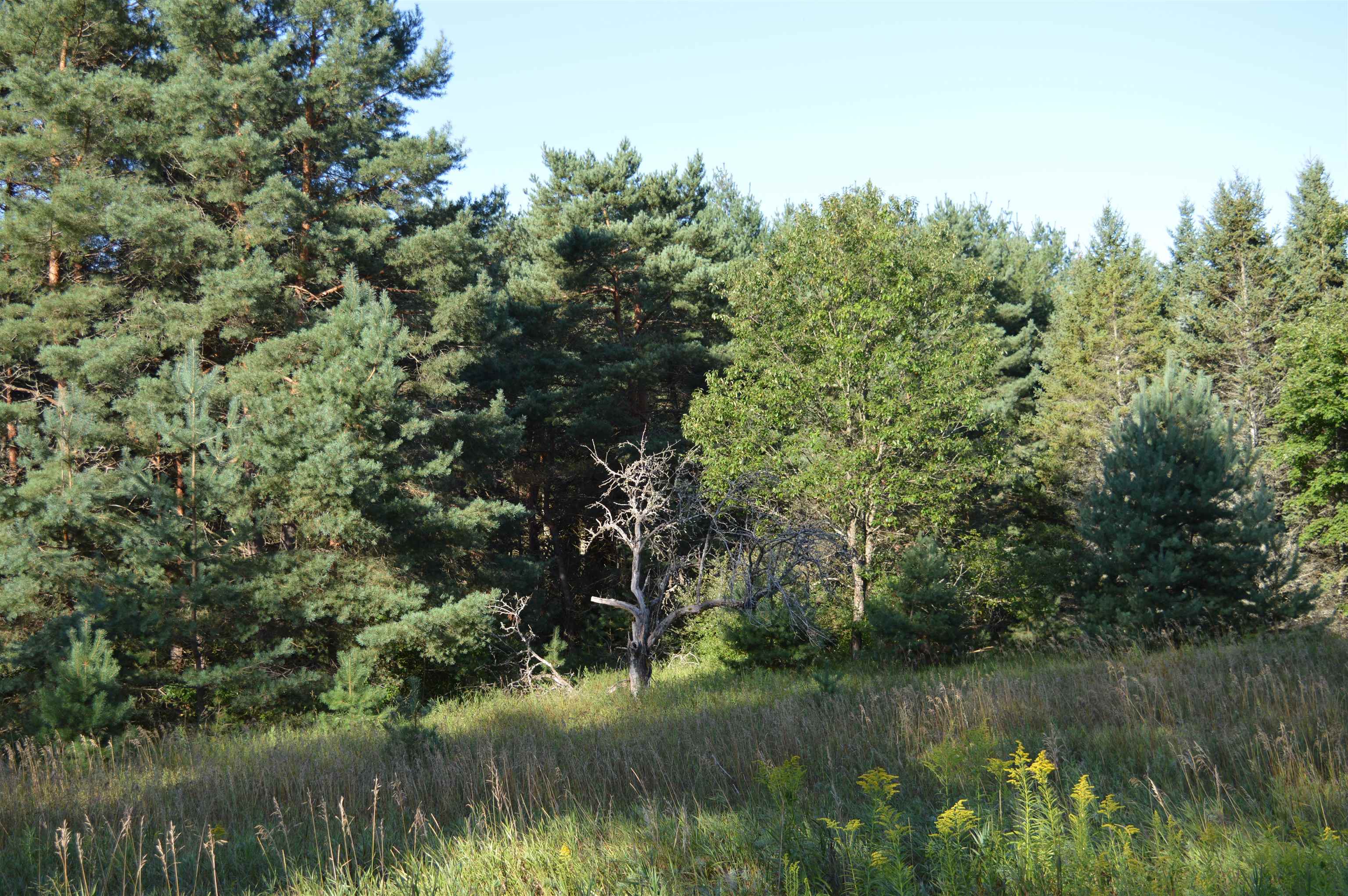 Gildas Road