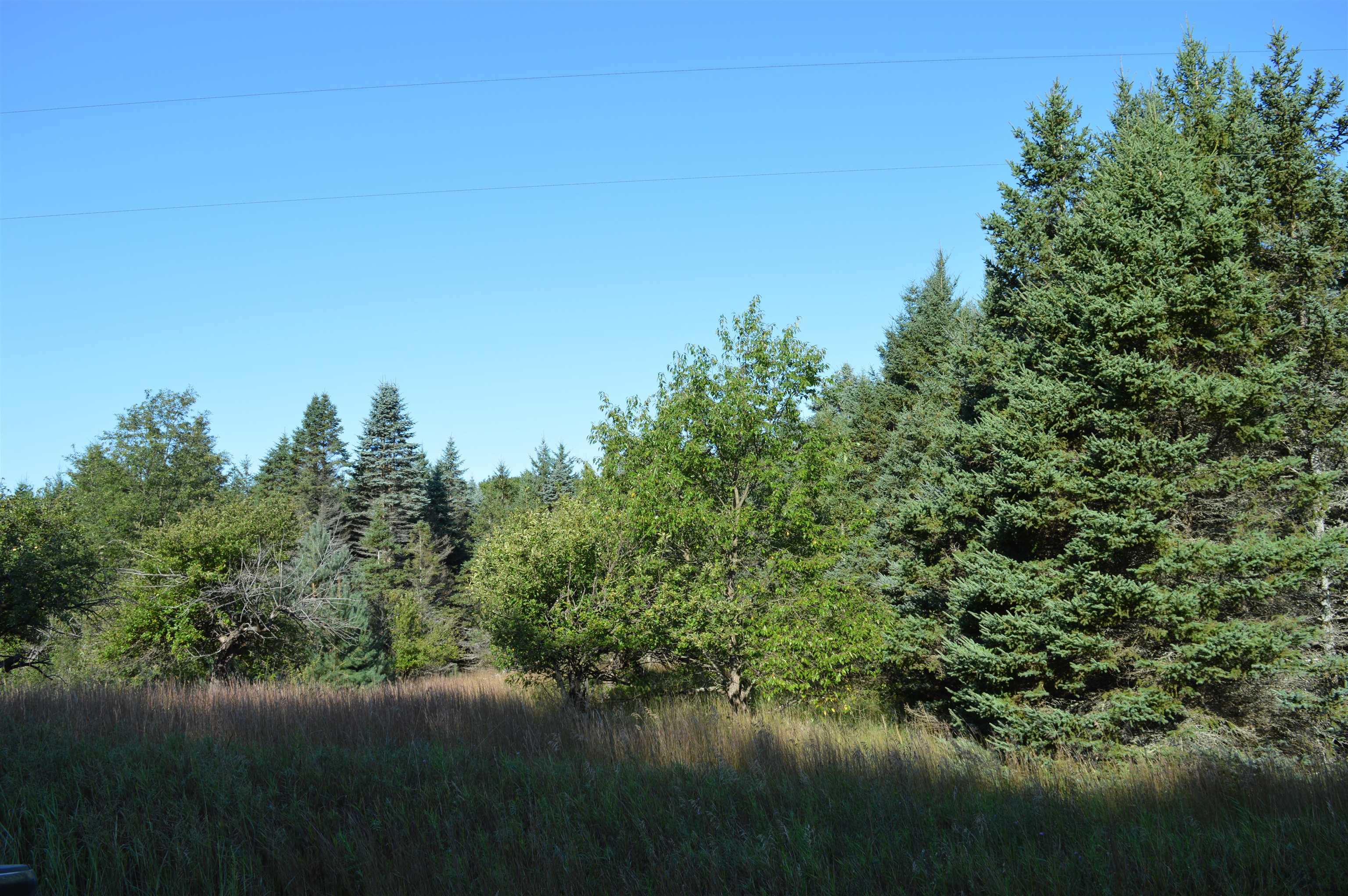 Gildas Road