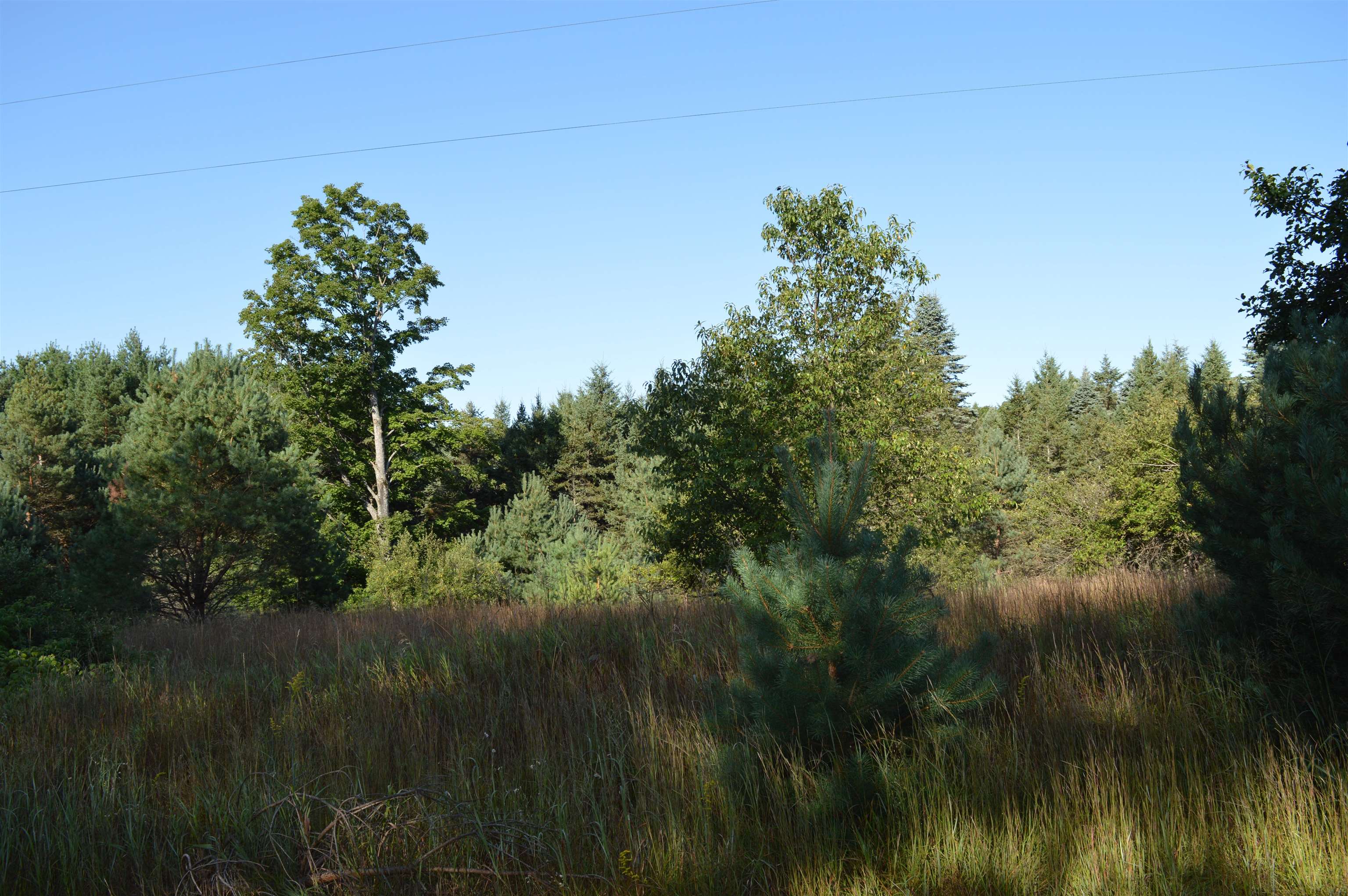 Gildas Road