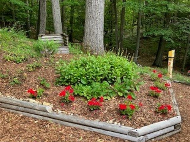 2991 Ojibwa Trail