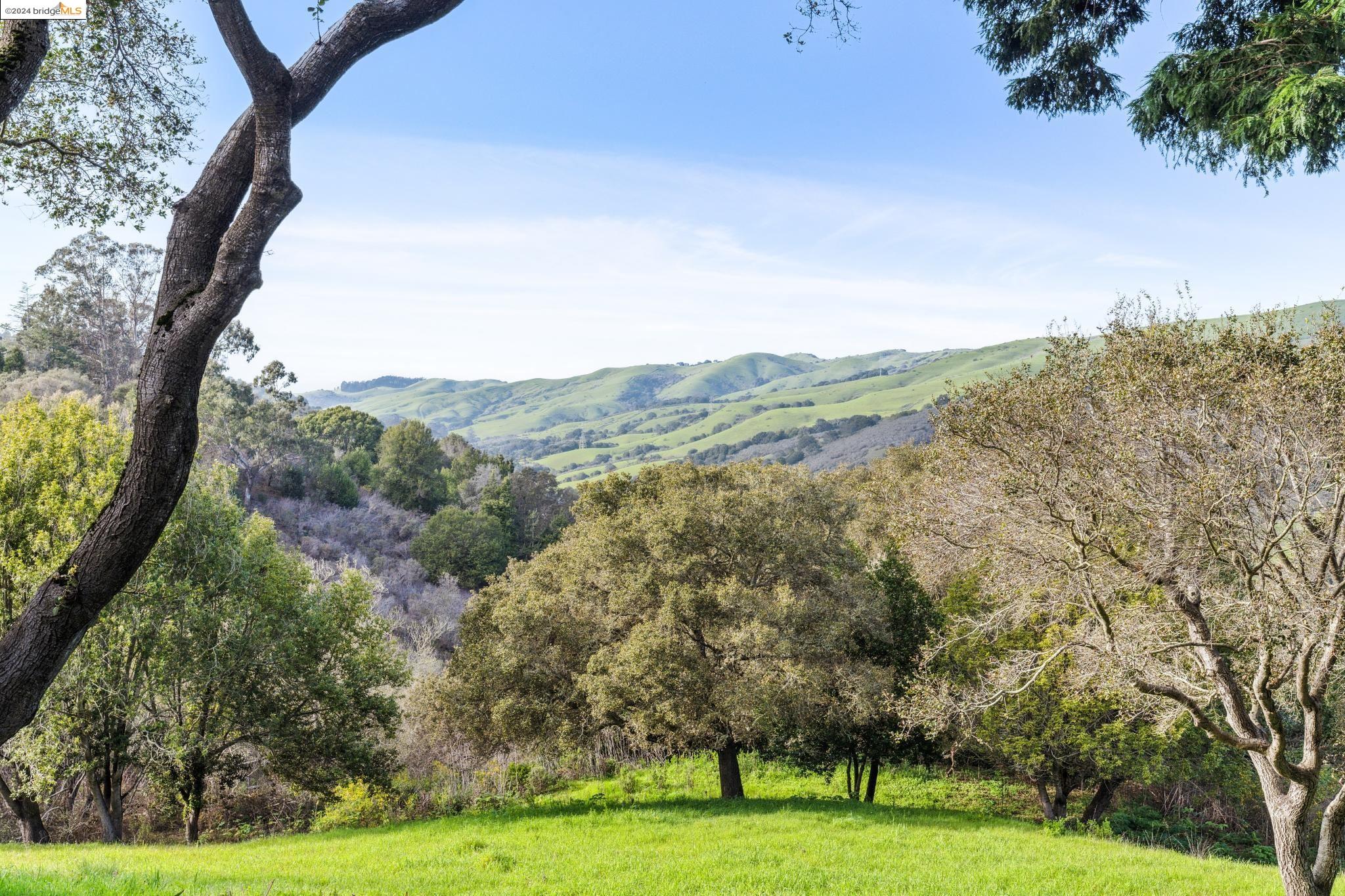 245 Los Altos Dr