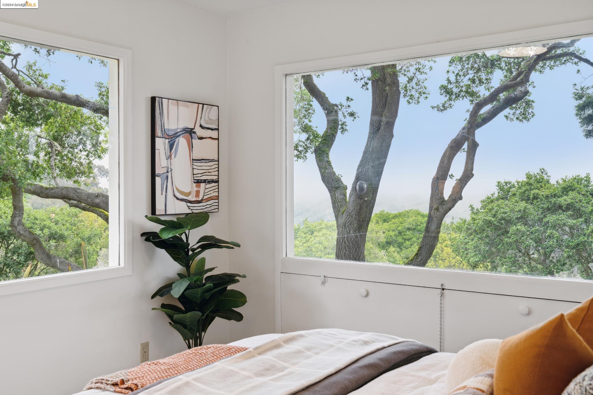 245 Los Altos Dr