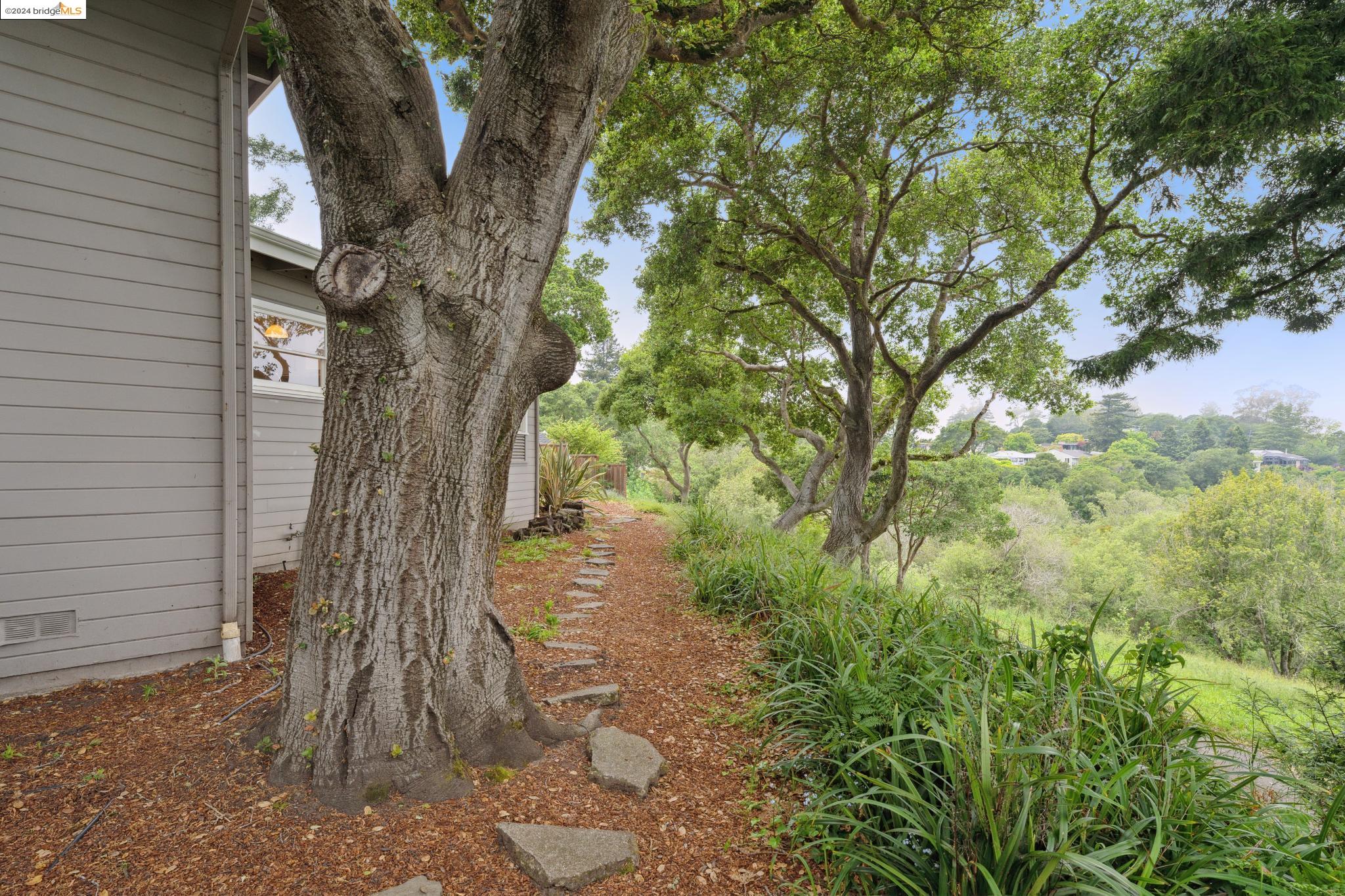 245 Los Altos Dr