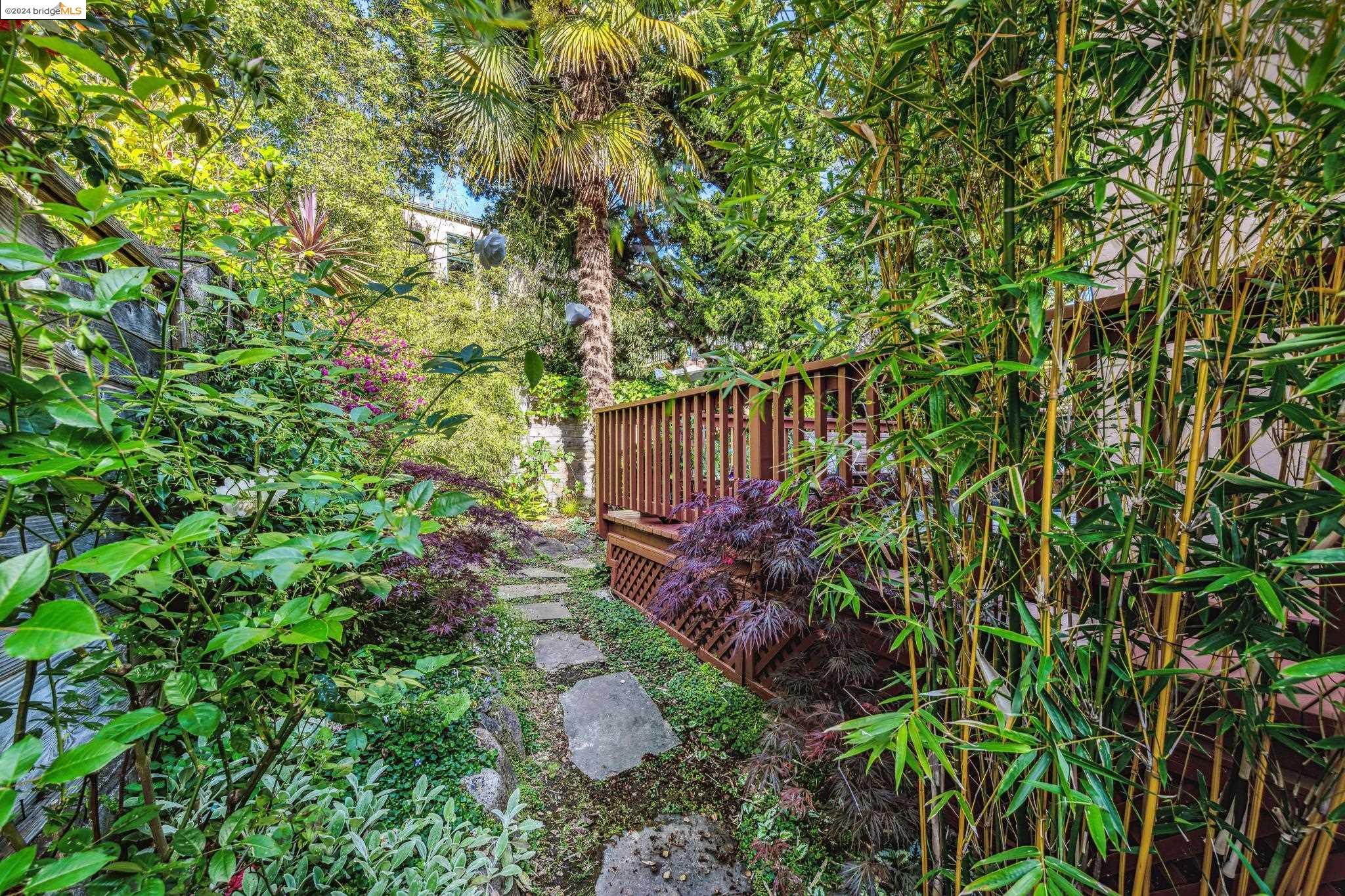 533 Neilson St