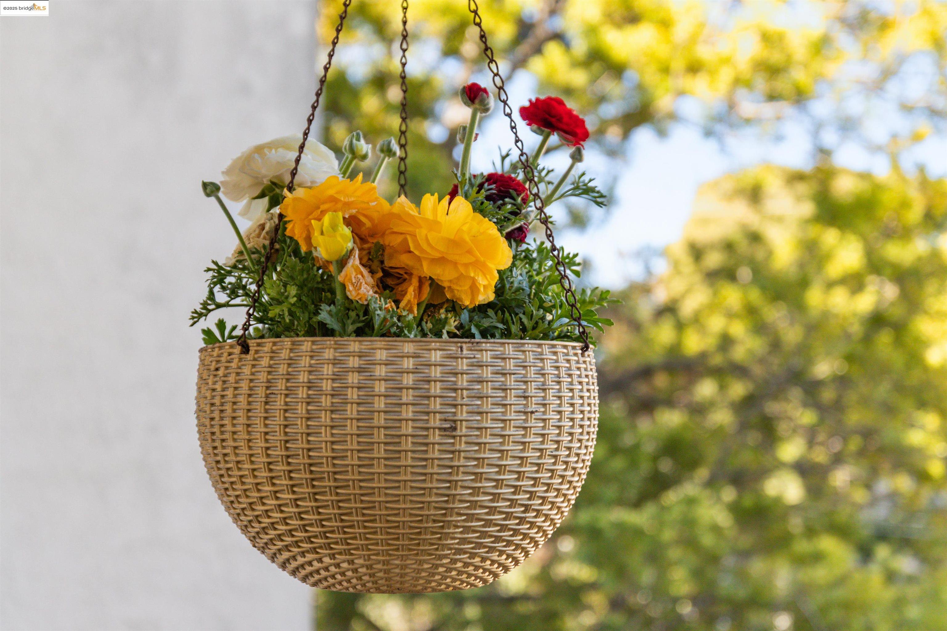 250 Montecito Ave. # 204