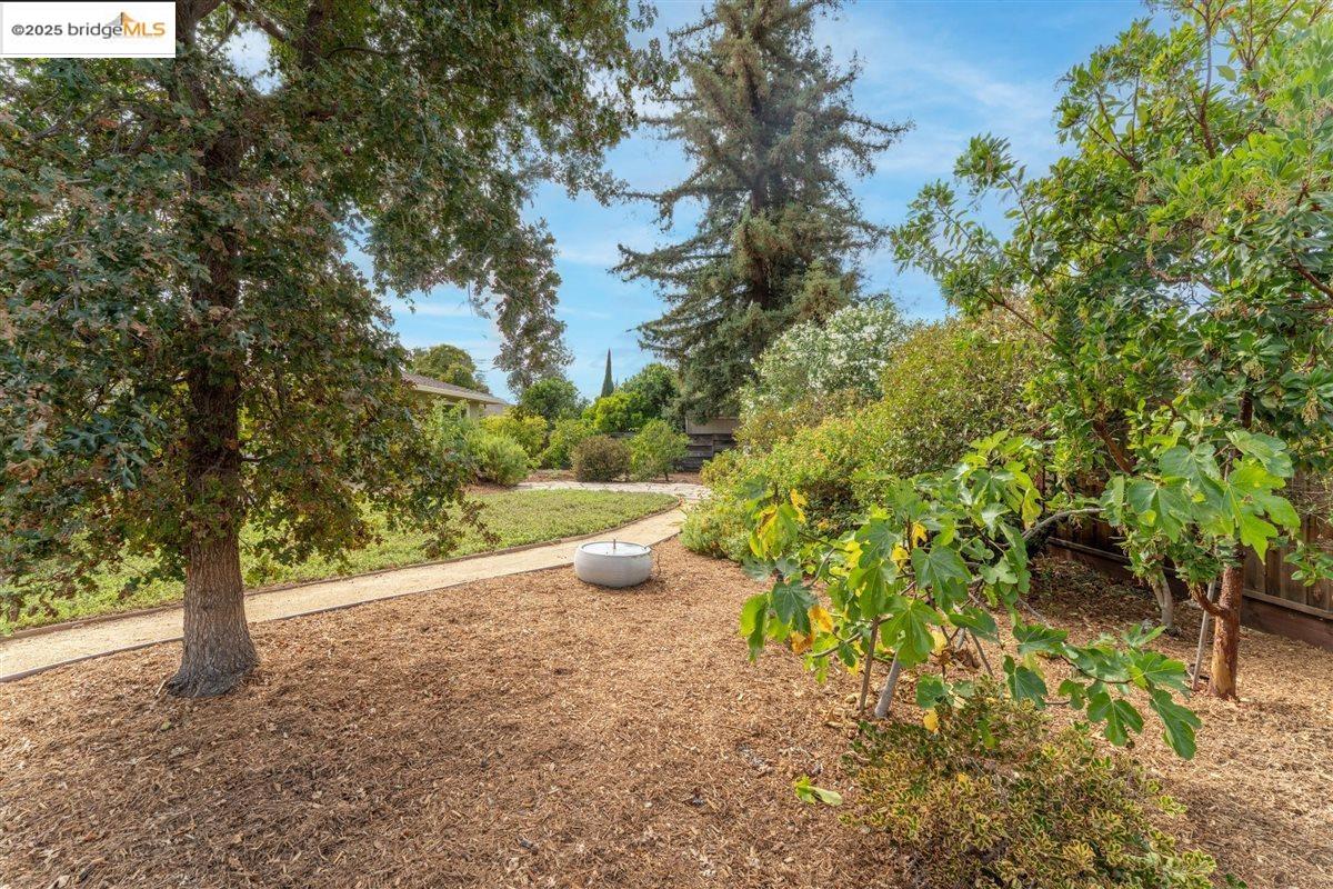 1123 Farragut Dr
