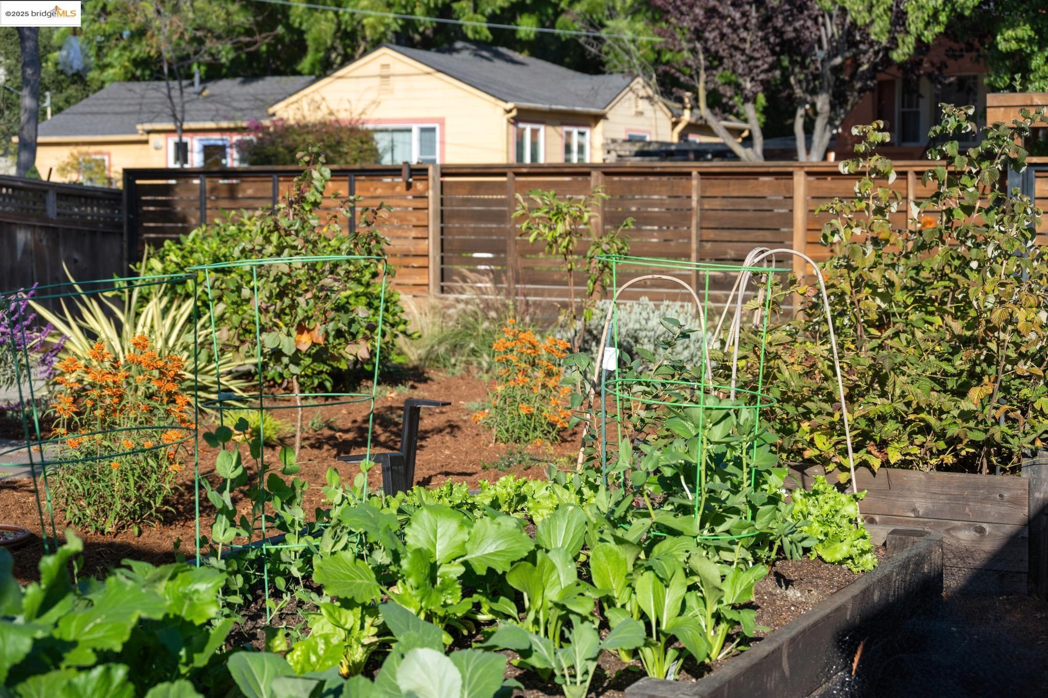 1200 Cornell Ave, Berkeley