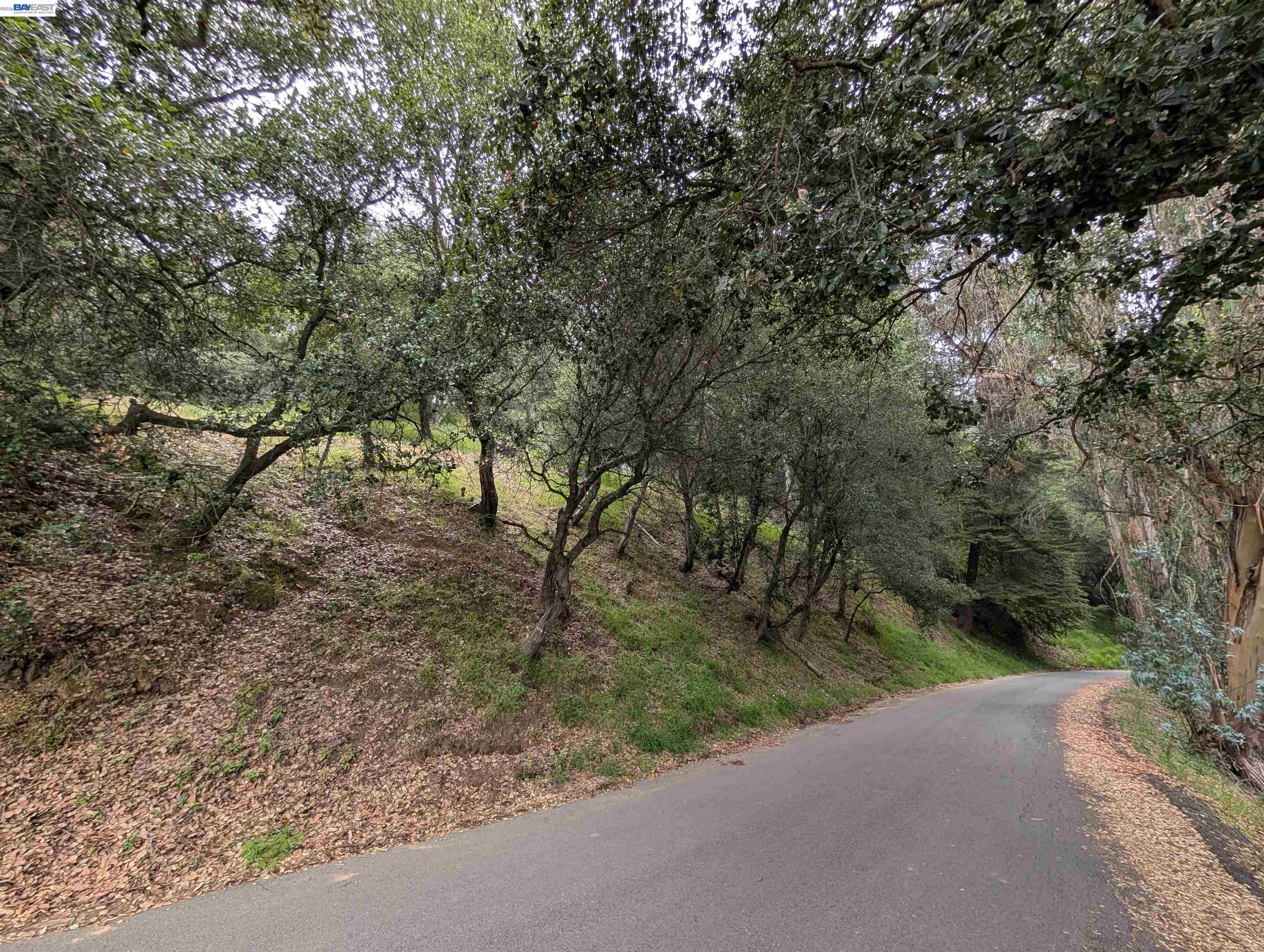 00 Girvin Dr