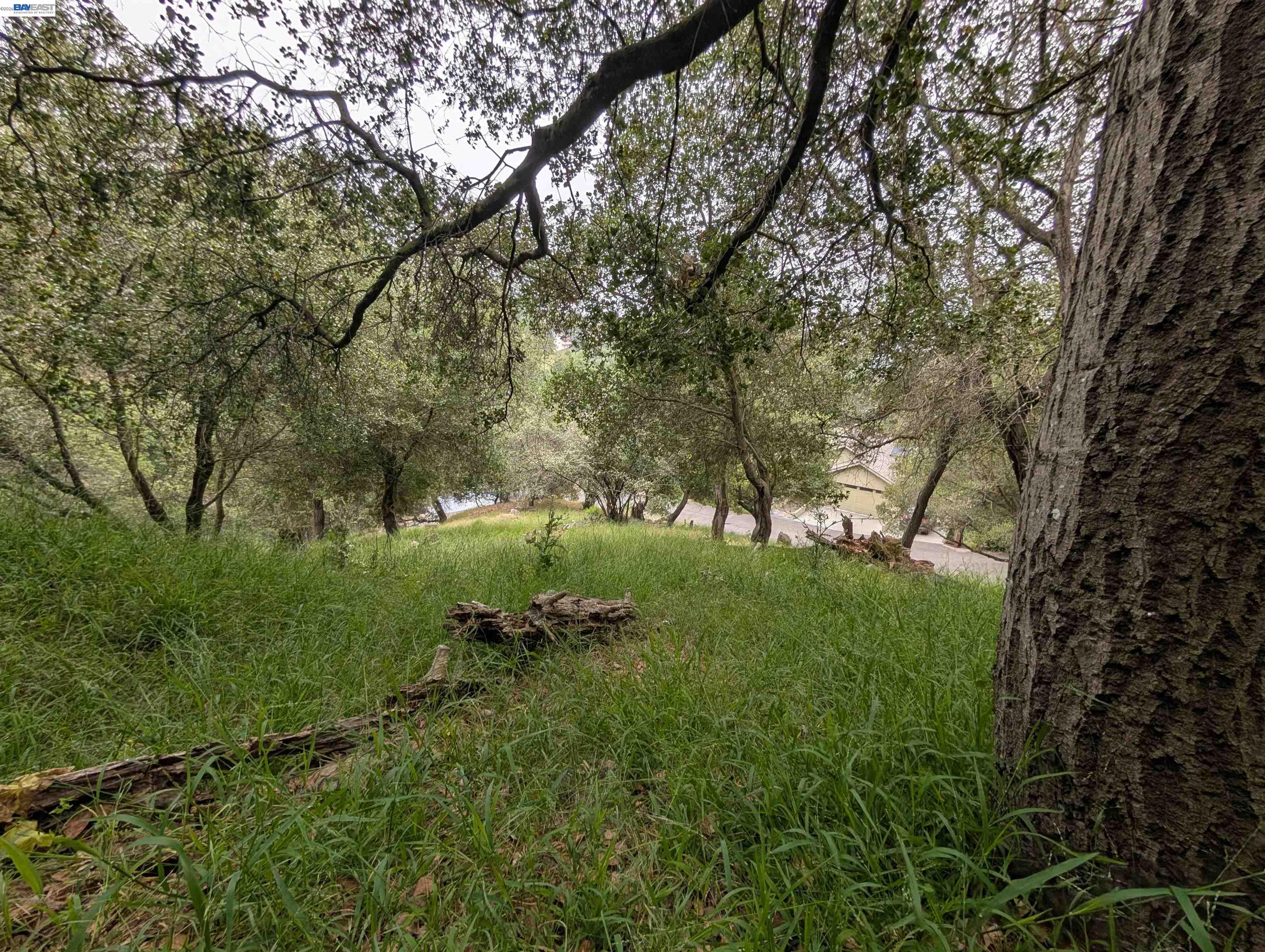 00 Girvin Dr