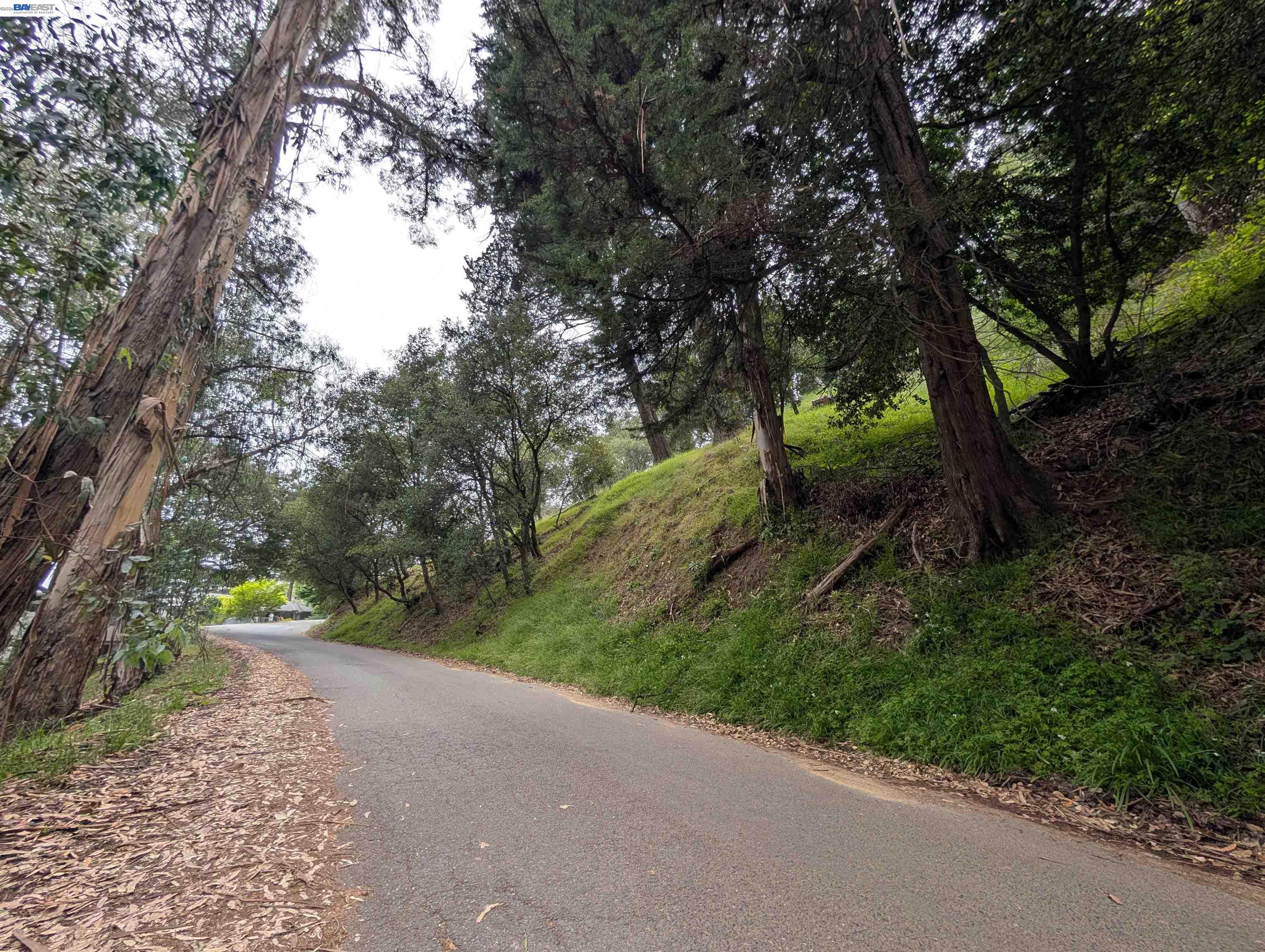 00 Girvin Dr