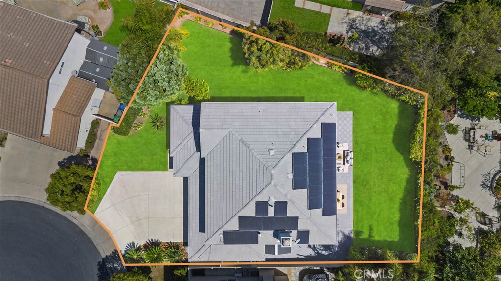 6 Blackbird