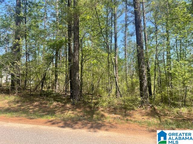 16 COUNTY ROAD 6 16