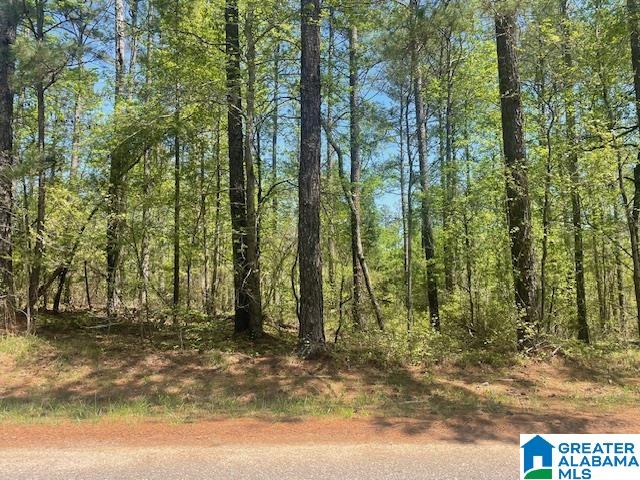 16 COUNTY ROAD 6 16