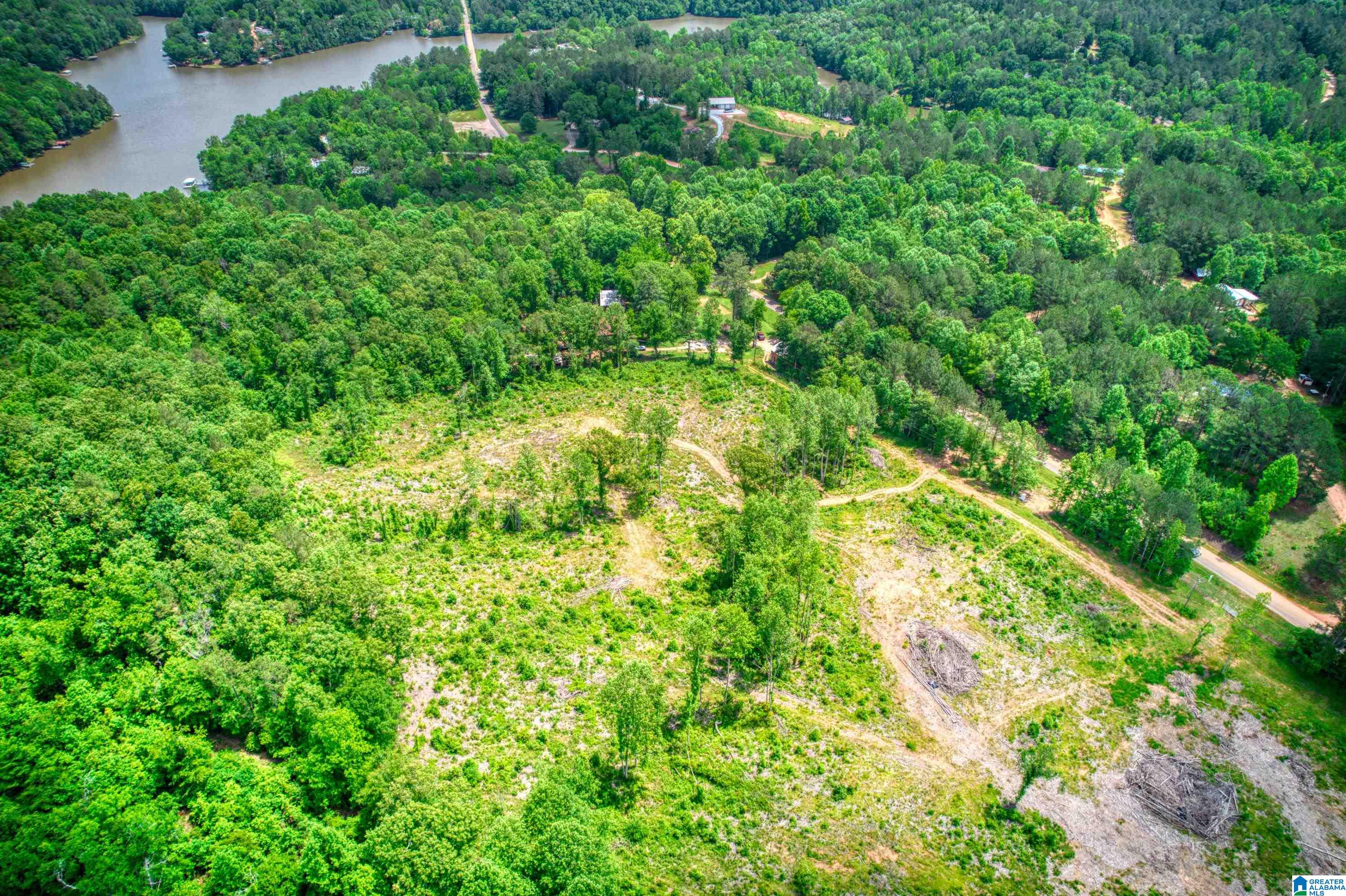 3447 COUNTY ROAD 82