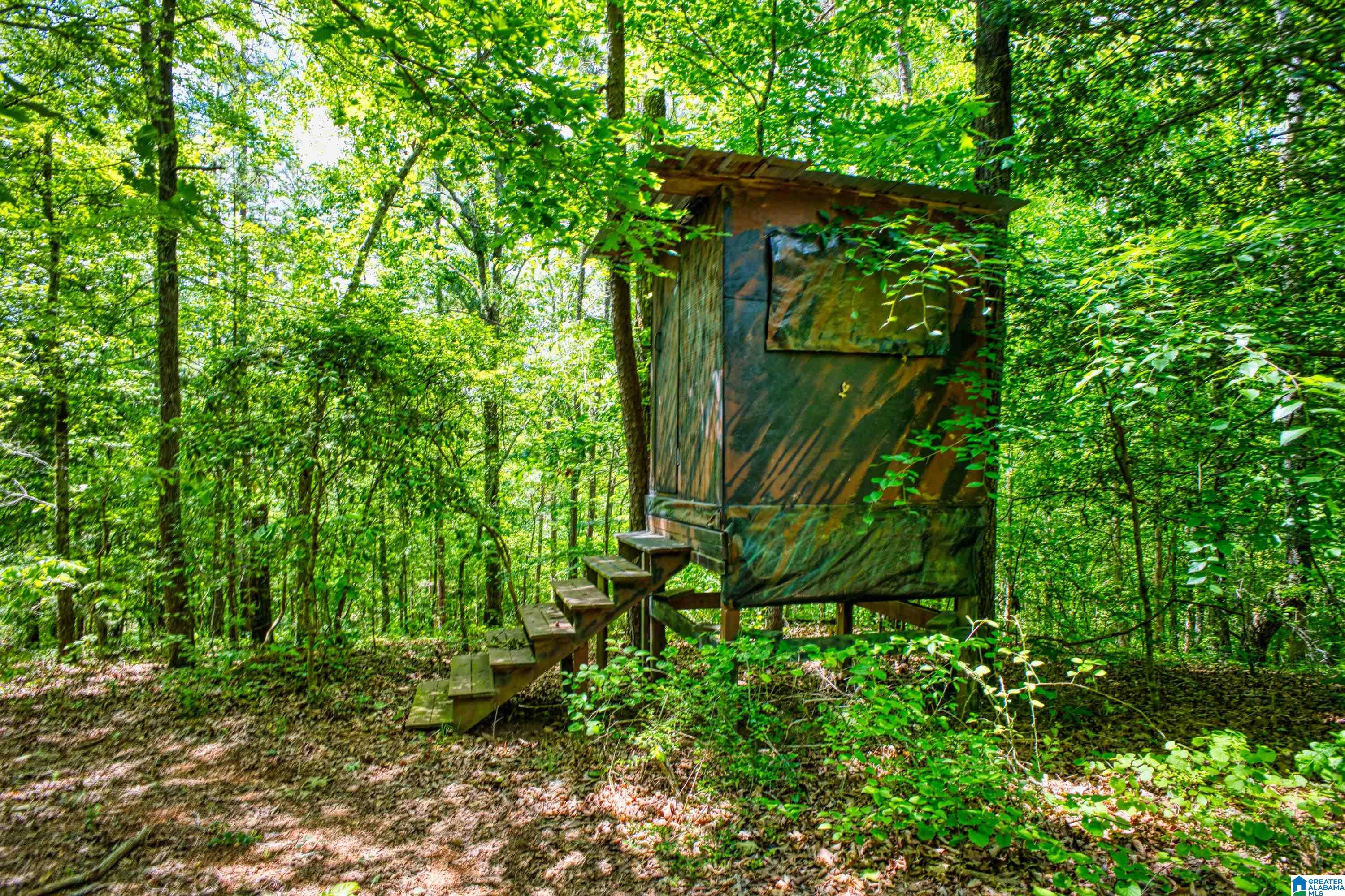 3447 COUNTY ROAD 82