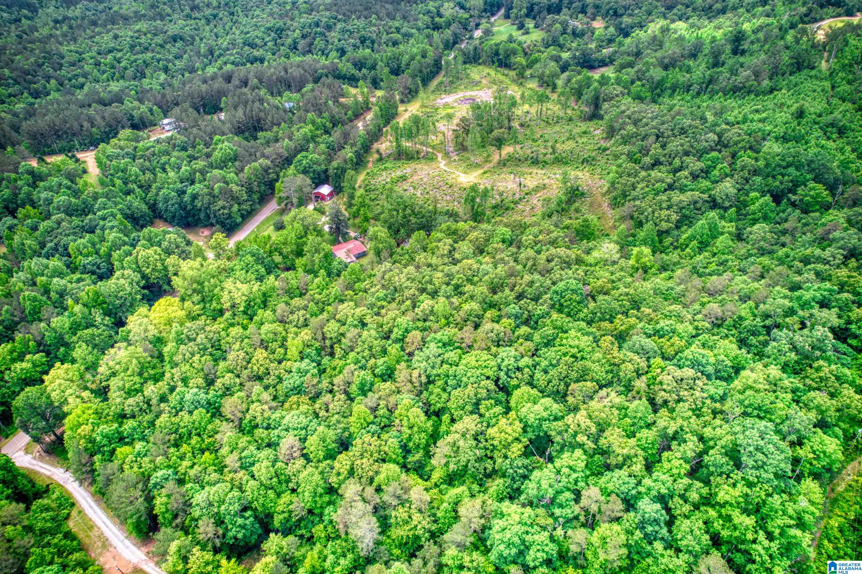 3447 COUNTY ROAD 82