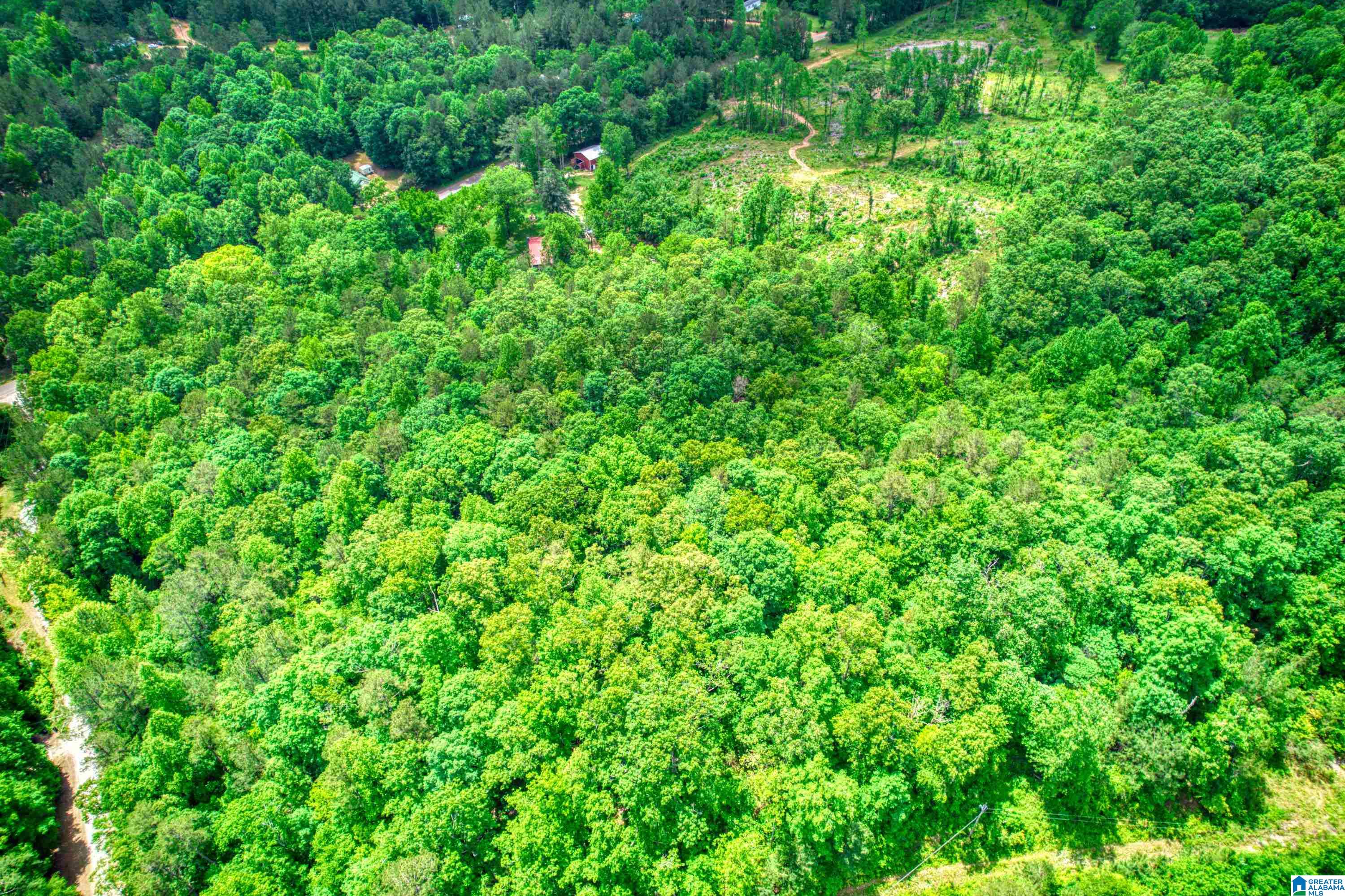 3447 COUNTY ROAD 82