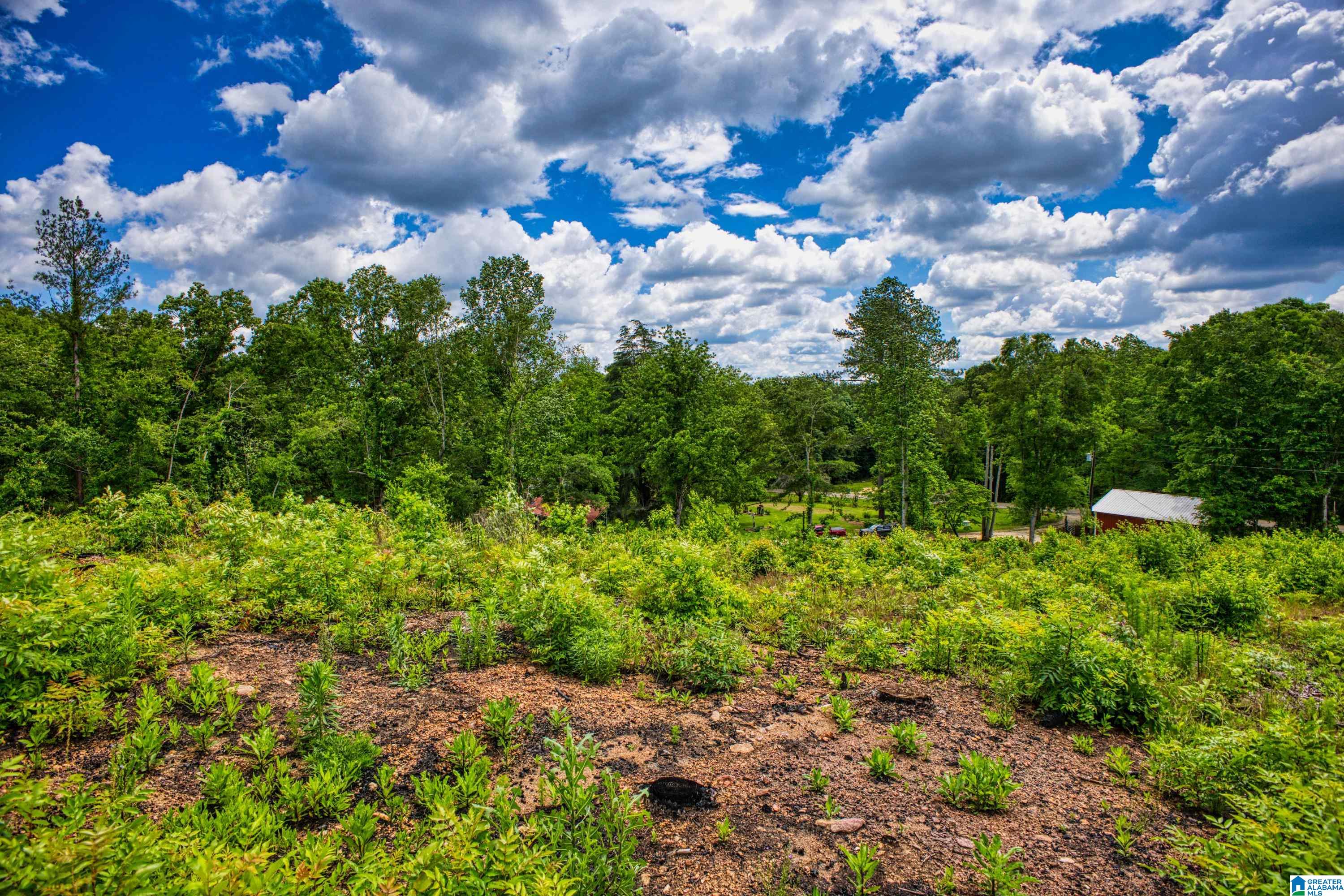 3447 COUNTY ROAD 82