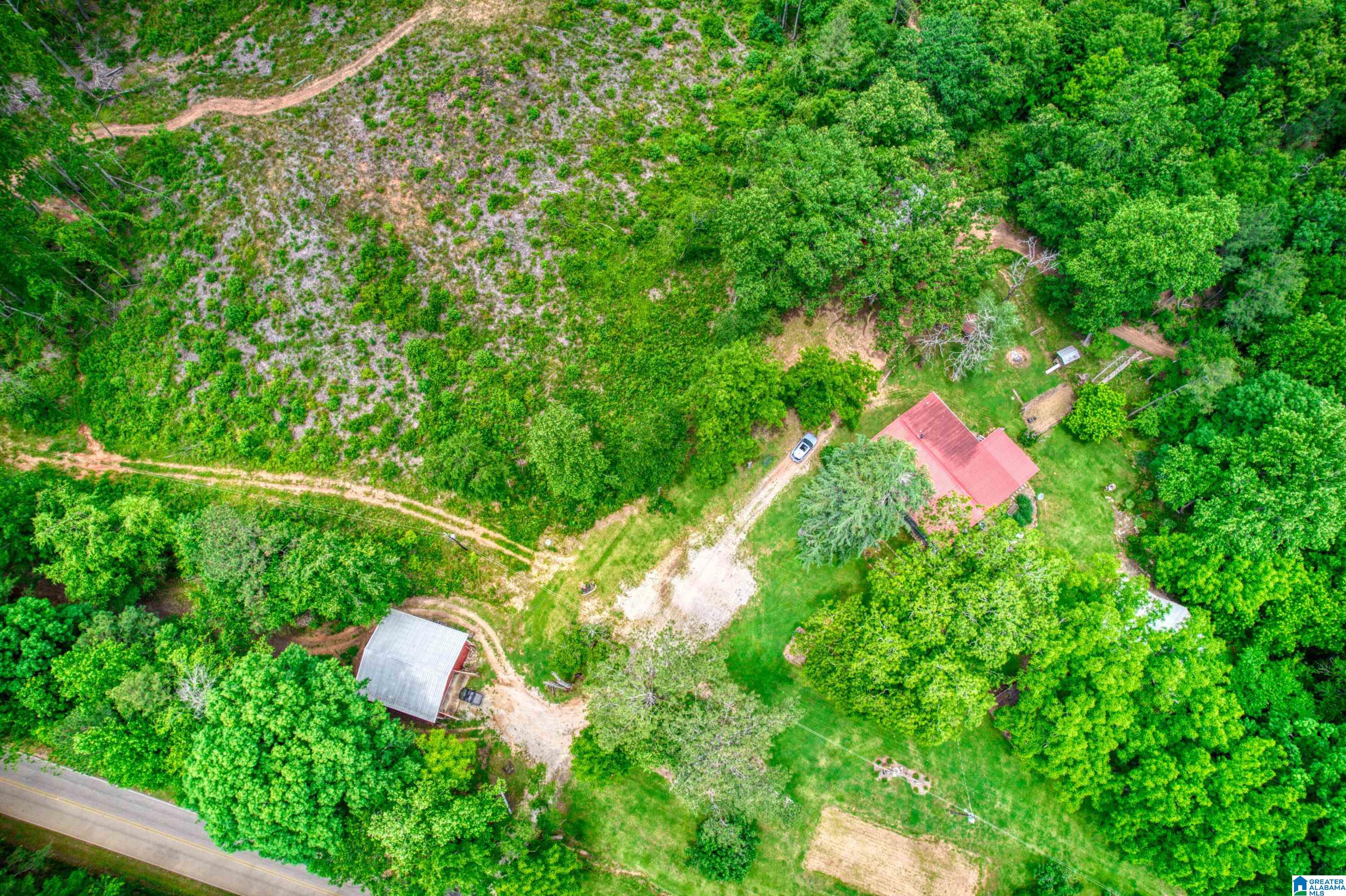 3447 COUNTY ROAD 82