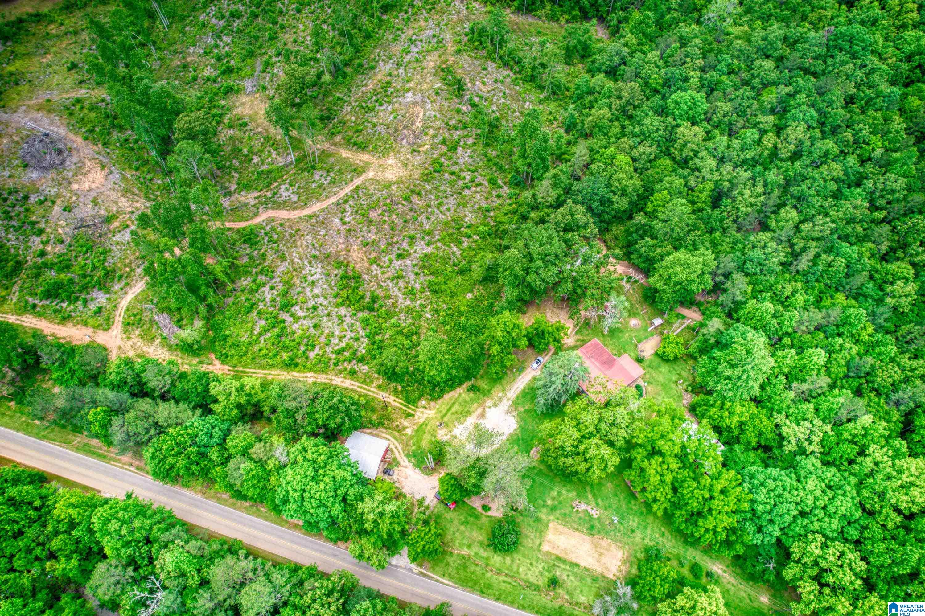 3447 COUNTY ROAD 82