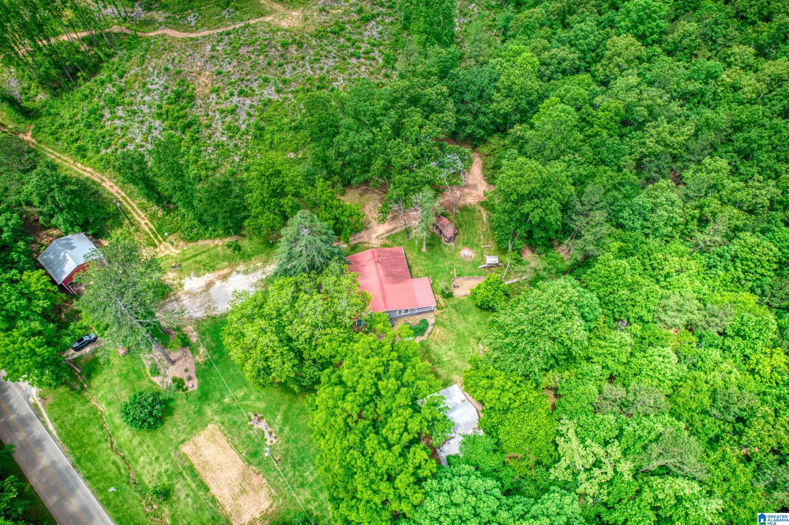 3447 COUNTY ROAD 82