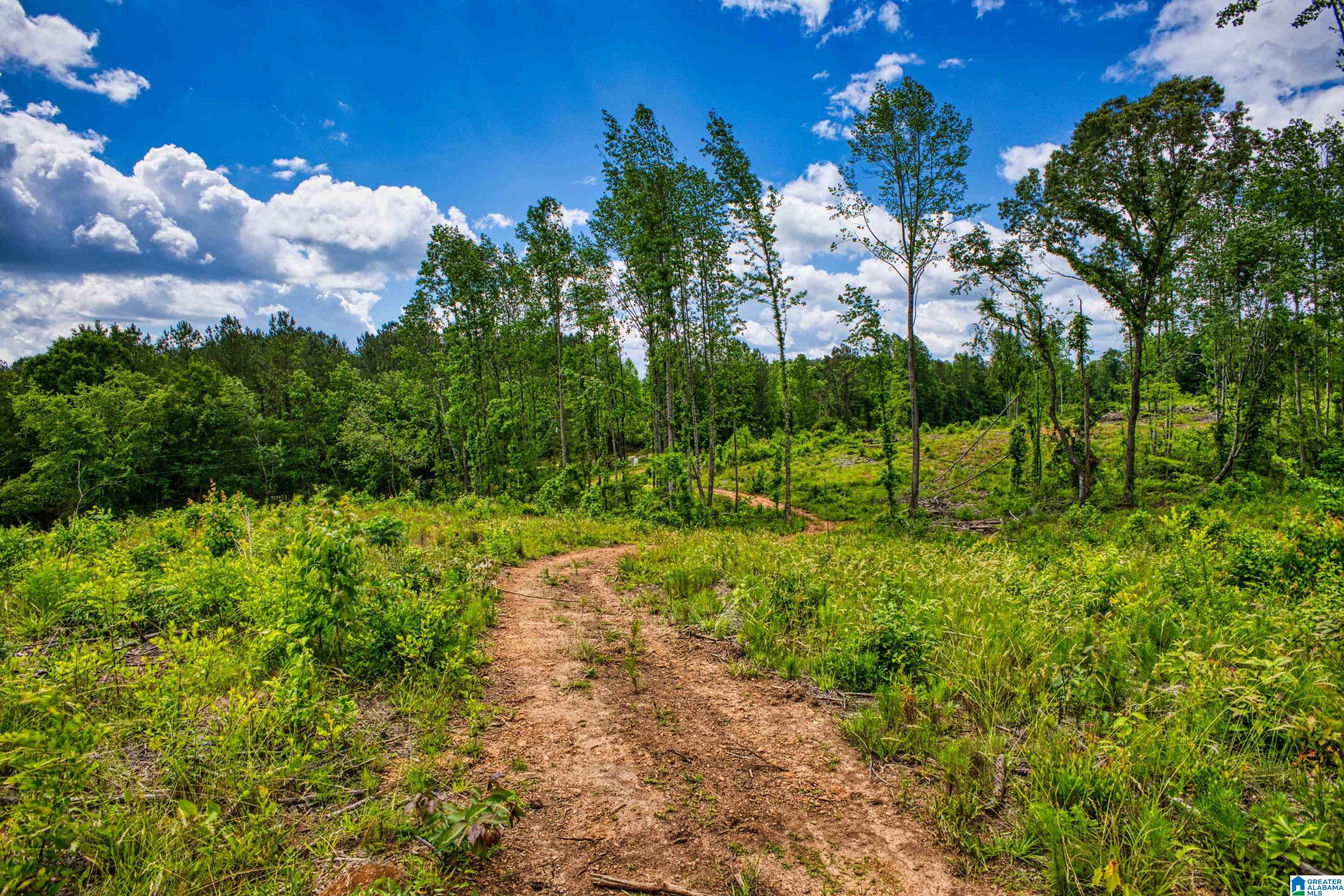 3447 COUNTY ROAD 82