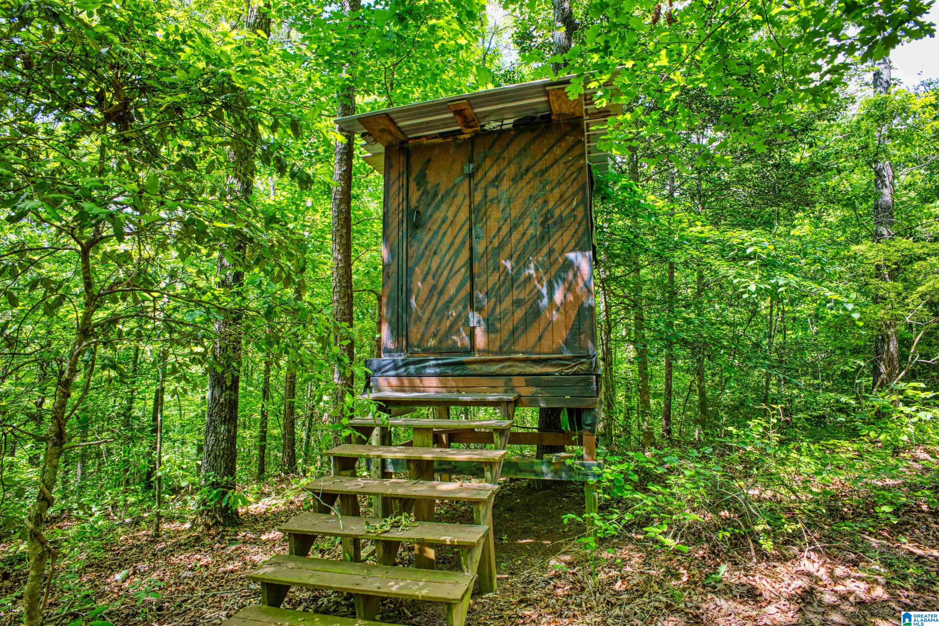3447 COUNTY ROAD 82