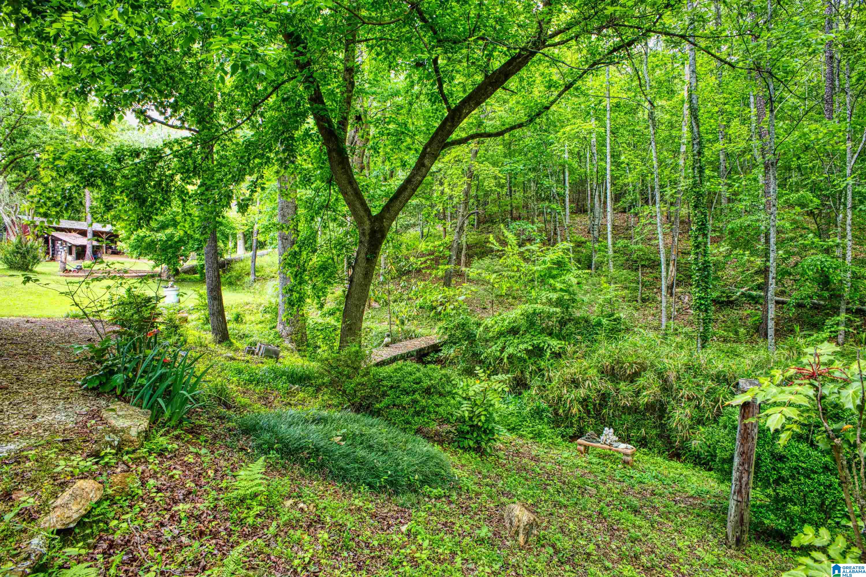 3447 COUNTY ROAD 82