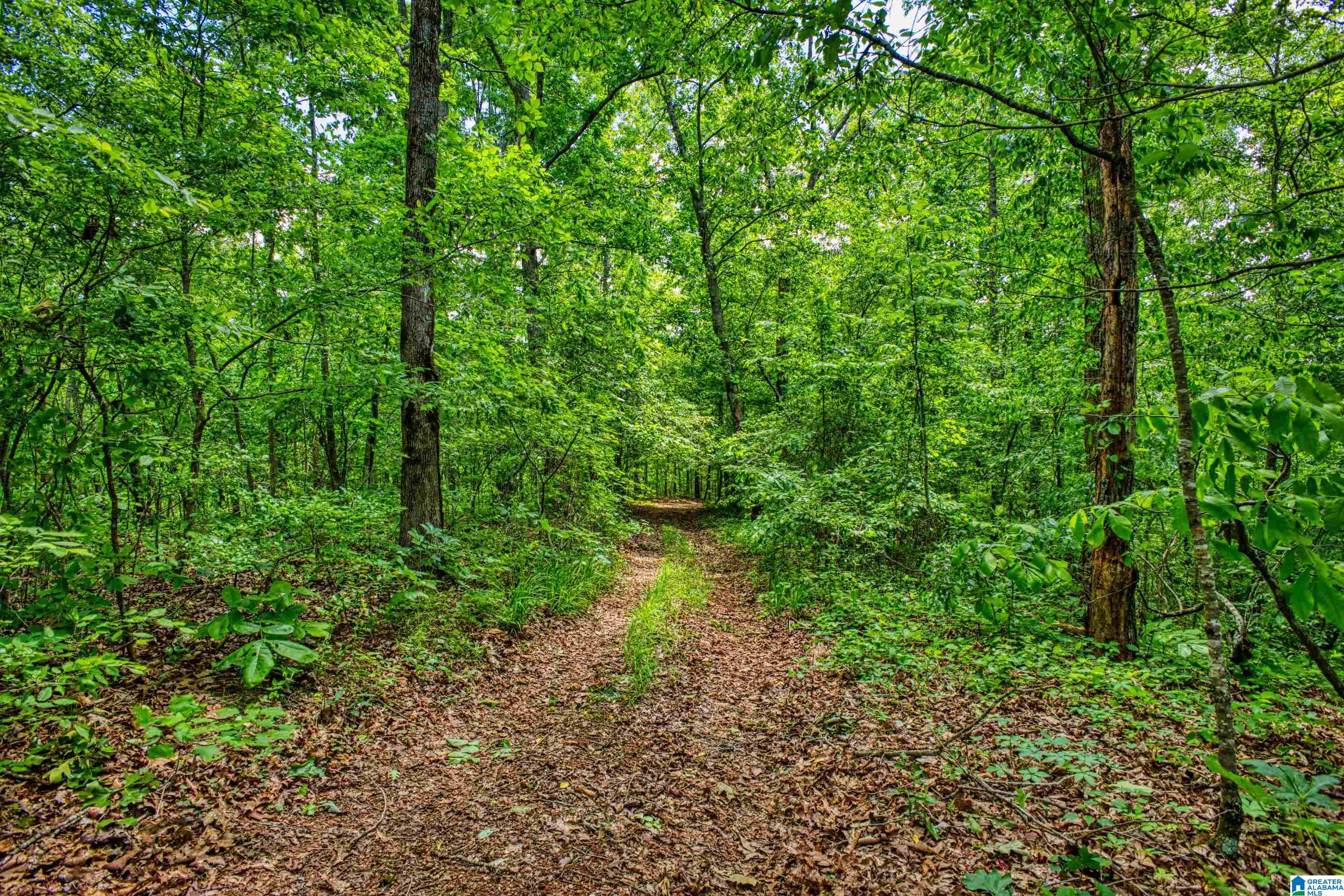 3447 COUNTY ROAD 82