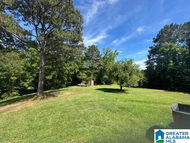 156 COUNTY ROAD 289