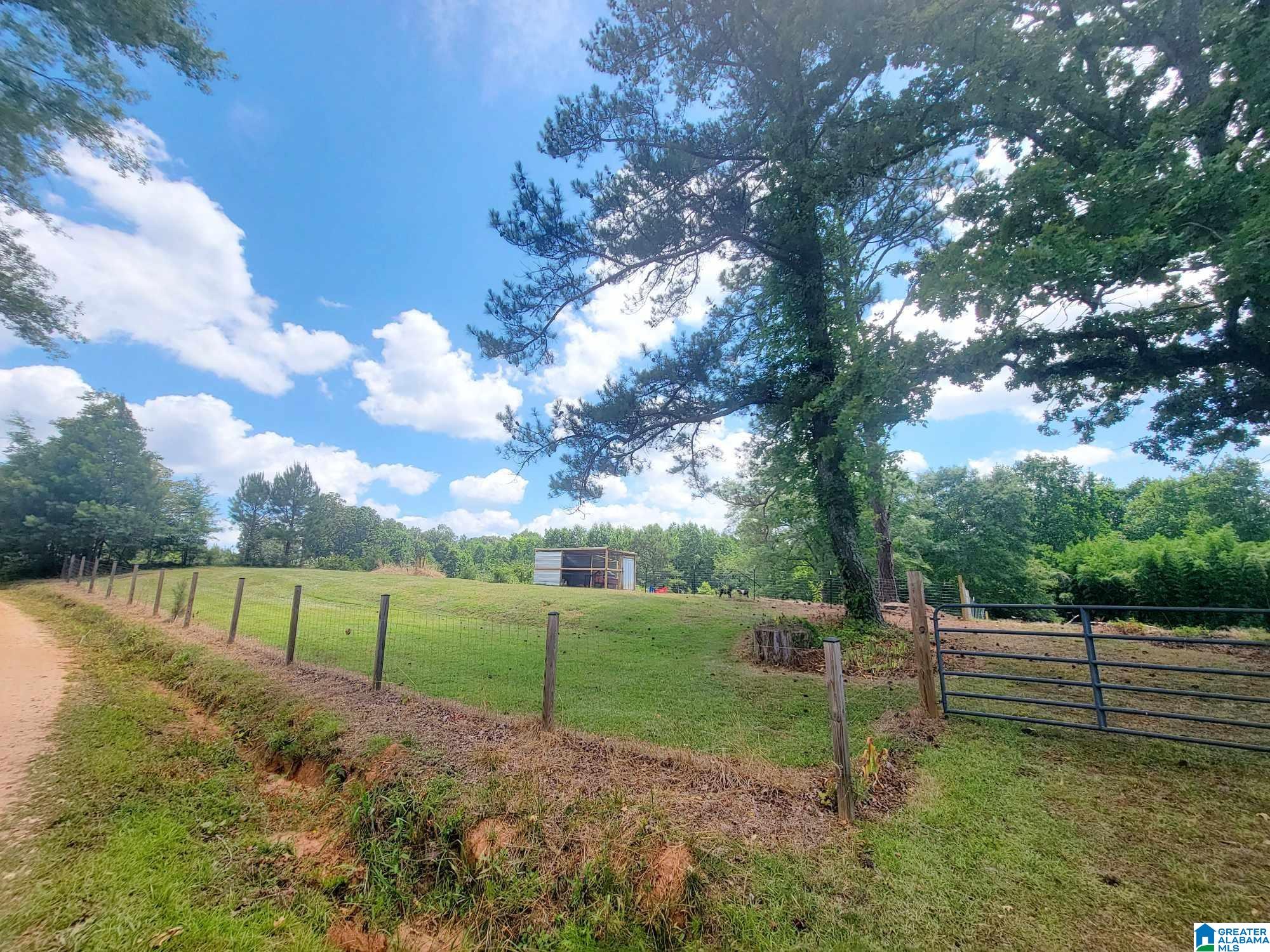 156 COUNTY ROAD 289
