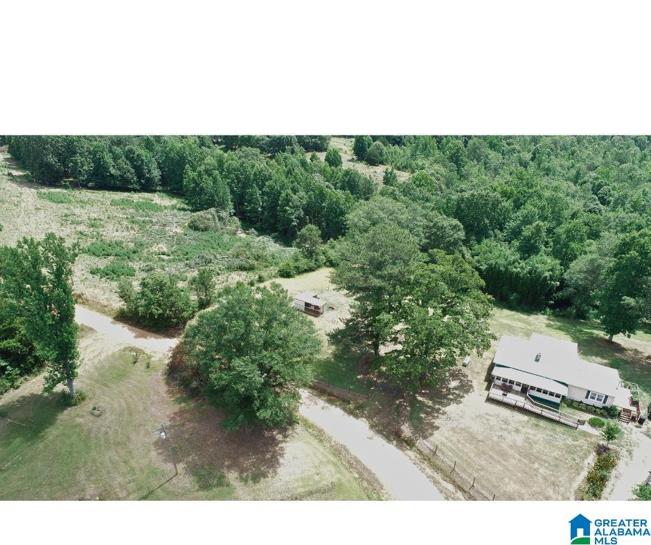 156 COUNTY ROAD 289