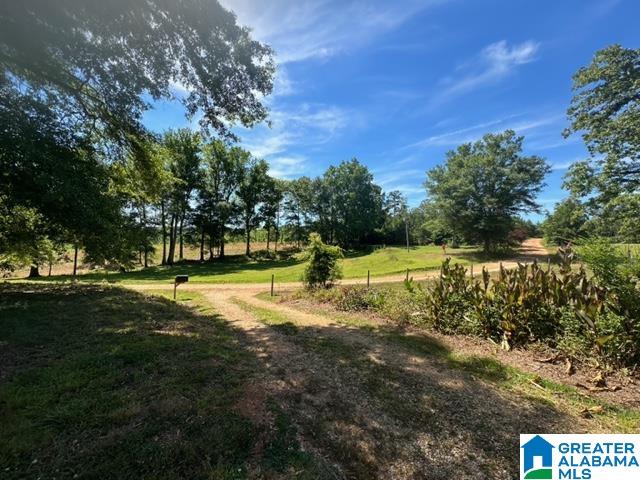156 COUNTY ROAD 289