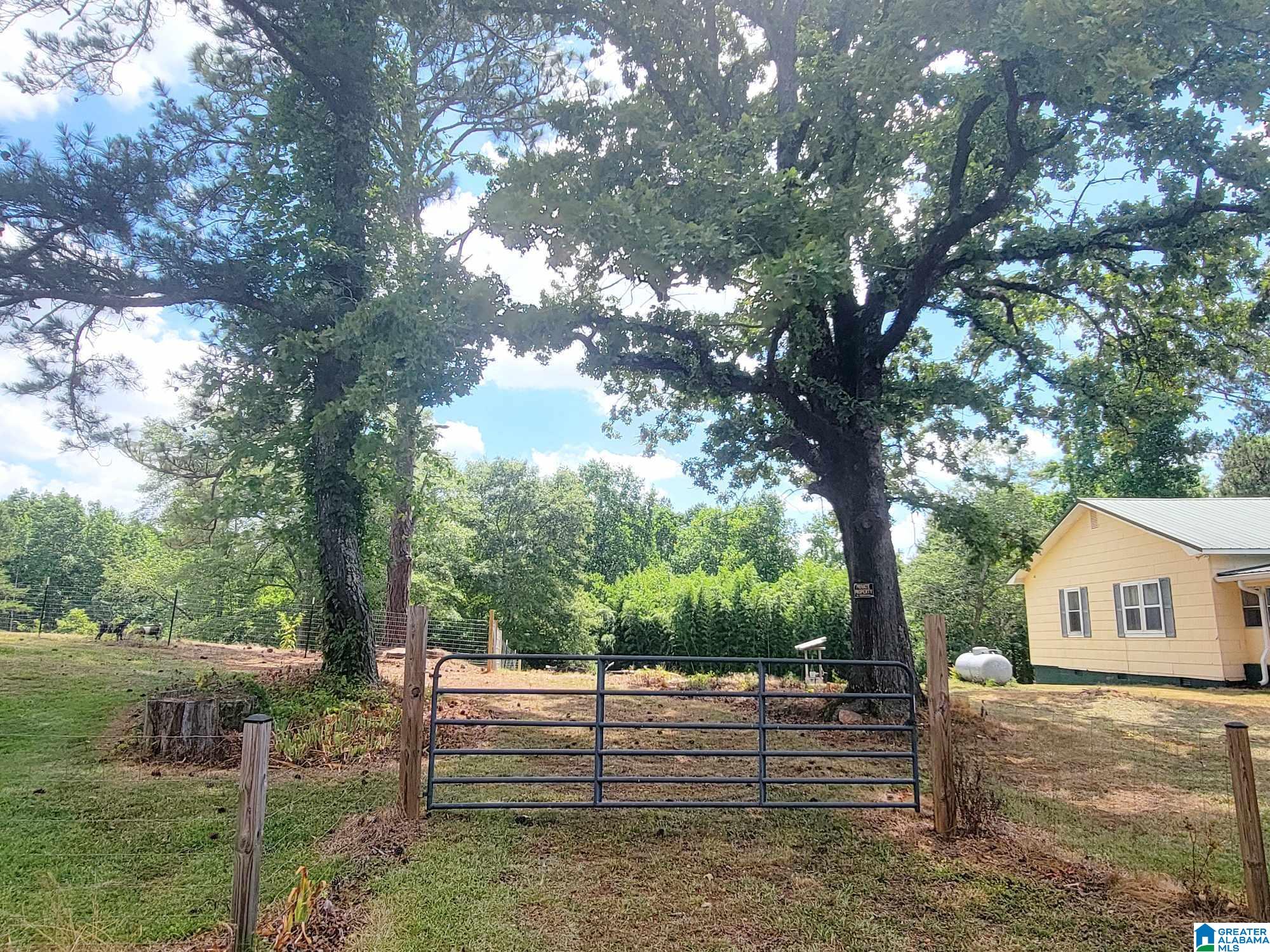 156 COUNTY ROAD 289
