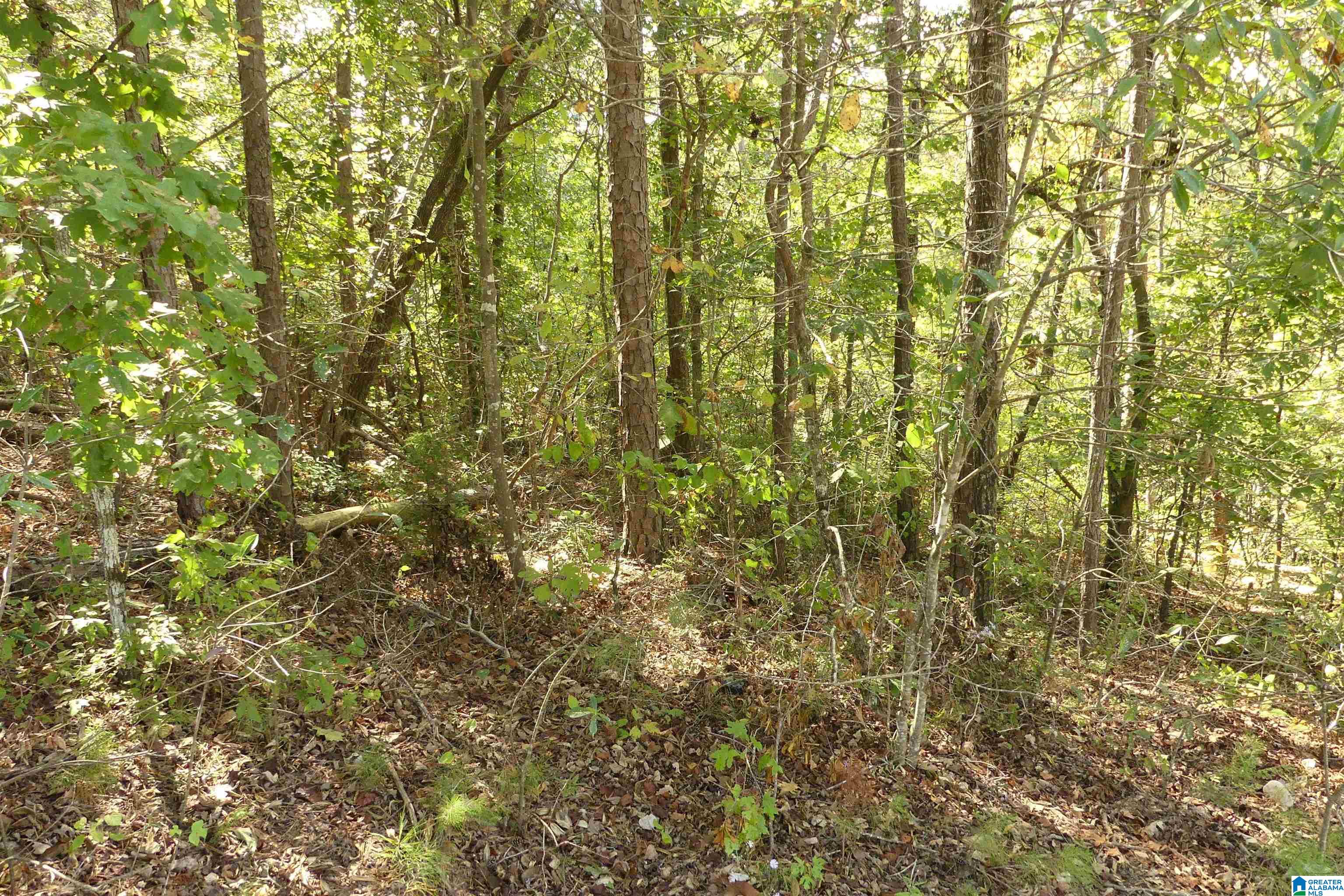 LOT 10 BROOKWATER WAY 10