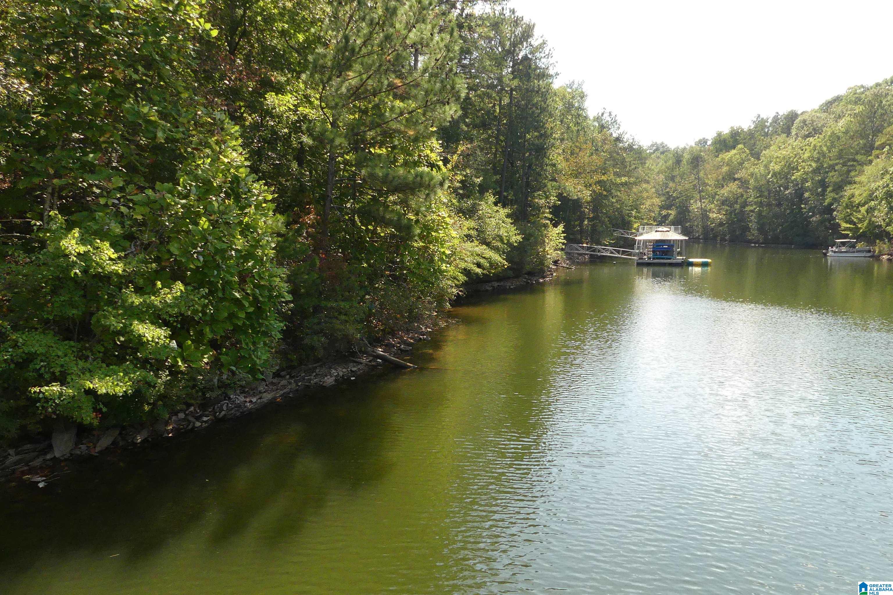 LOT 10 BROOKWATER WAY 10