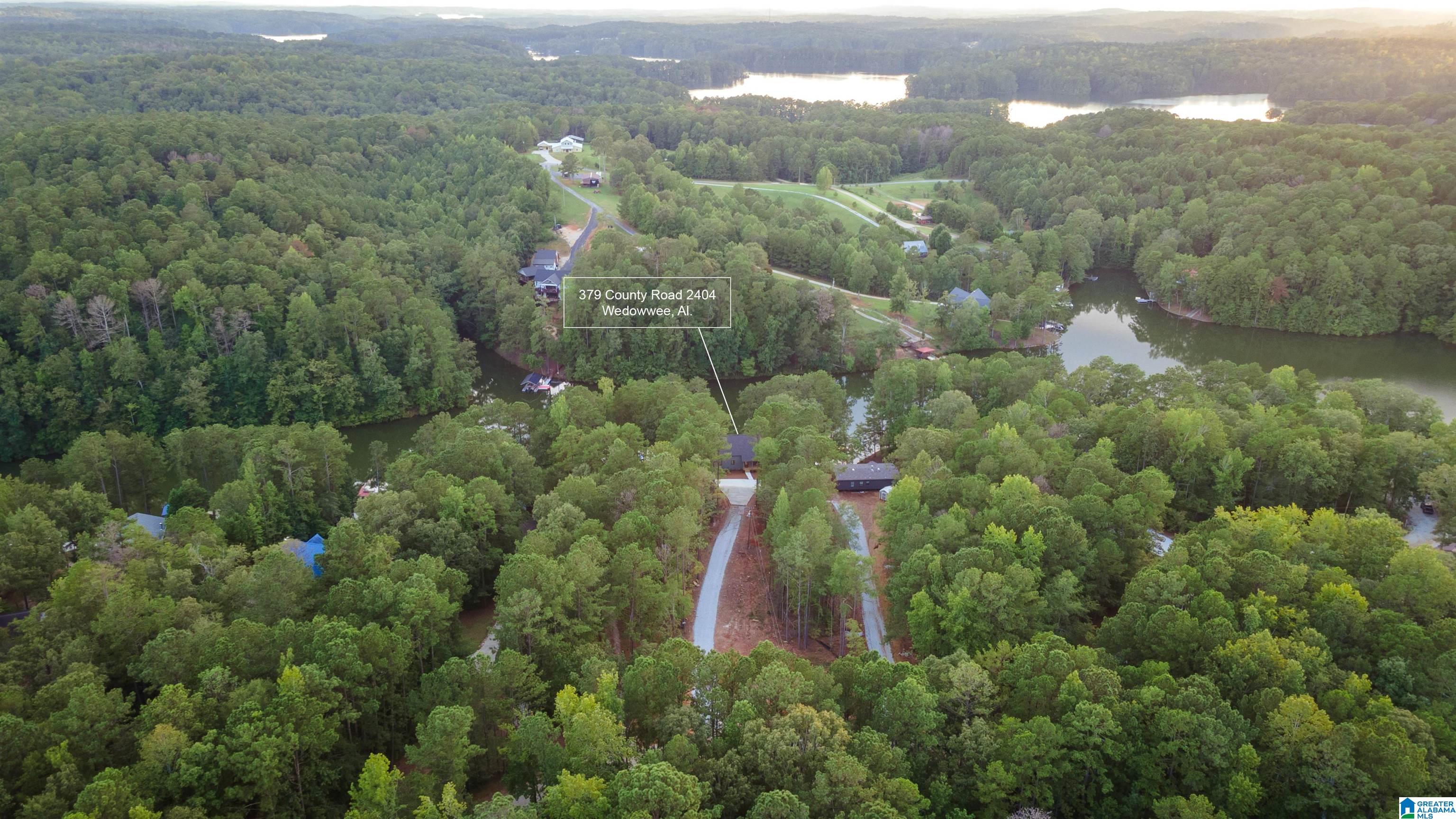 319 COUNTY ROAD 2404