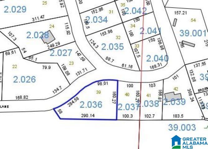 0 BLUFFS CIRCLE 39