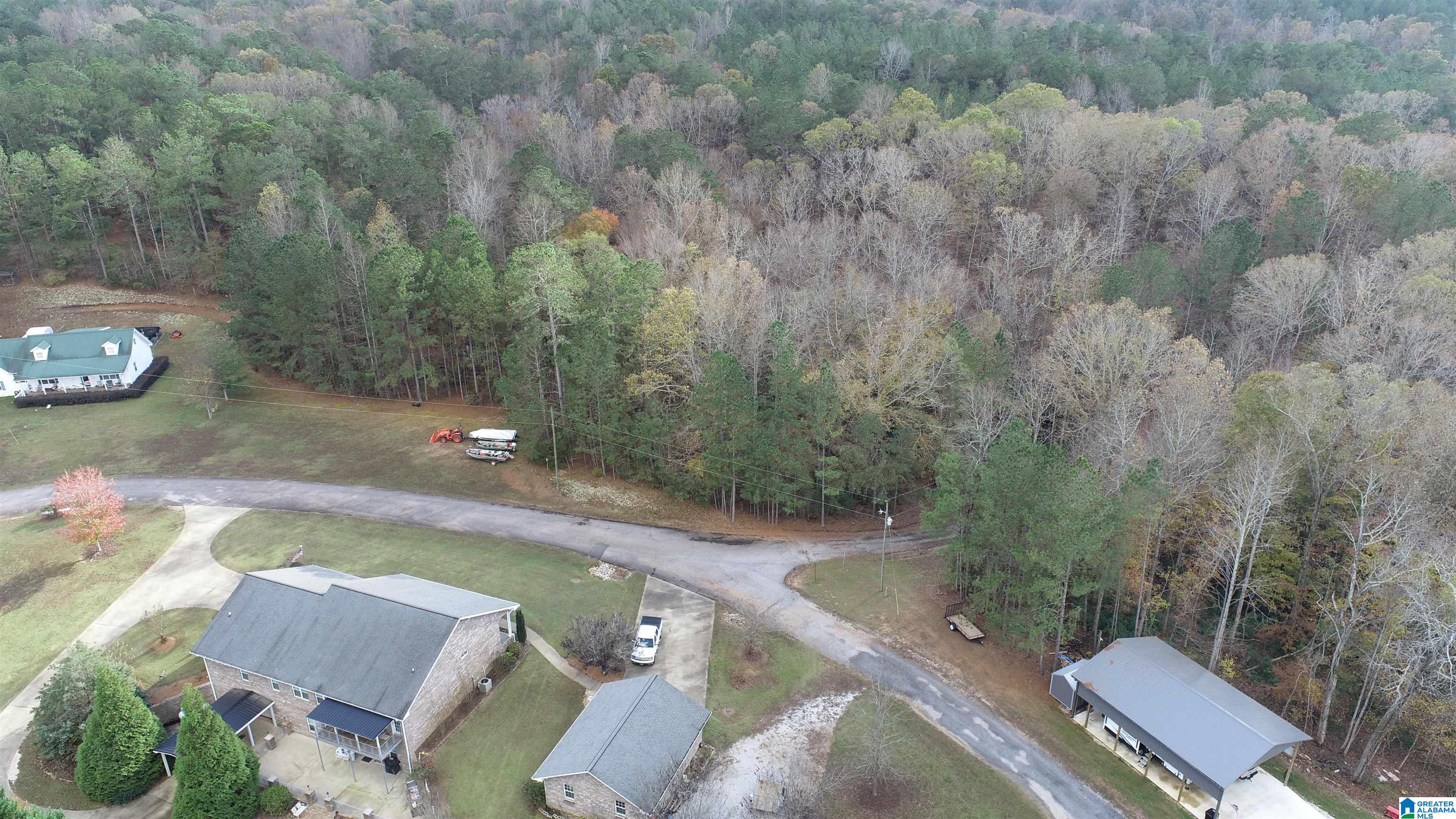 0 BLUFFS CIRCLE 39
