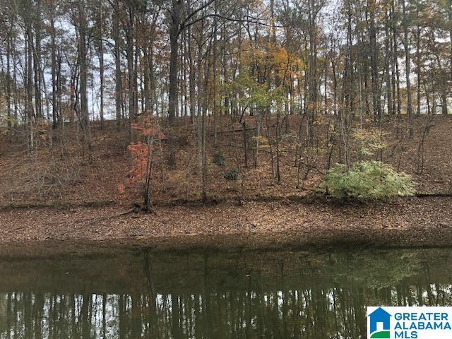 BLUEBIRD DRIVE Phase 1, Lot 8