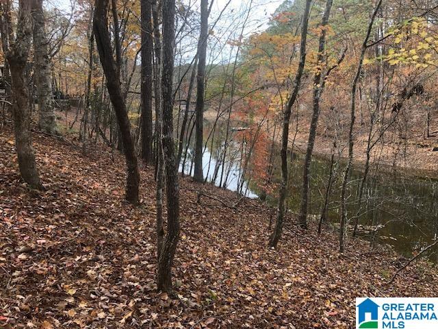 BLUEBIRD DRIVE Phase 1, Lot 8